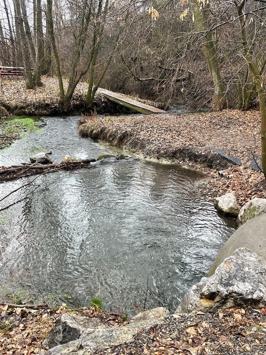 Wellsville Forest