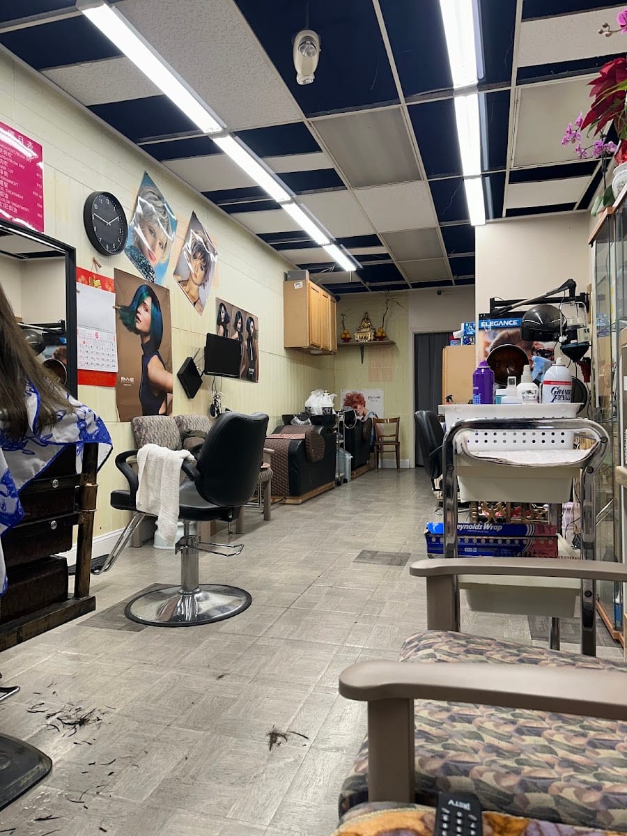 Johnny's Hair Studio