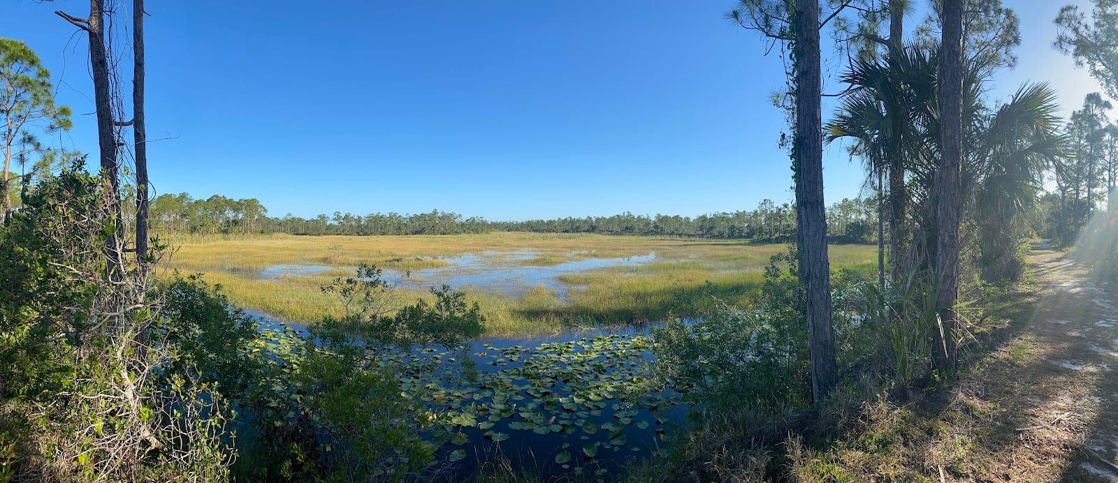 Charlotte Flatwoods Environmental Park