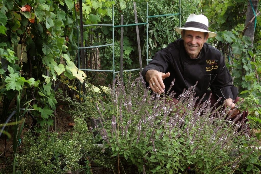 Onotria Wine Country Cuisine, photo 4