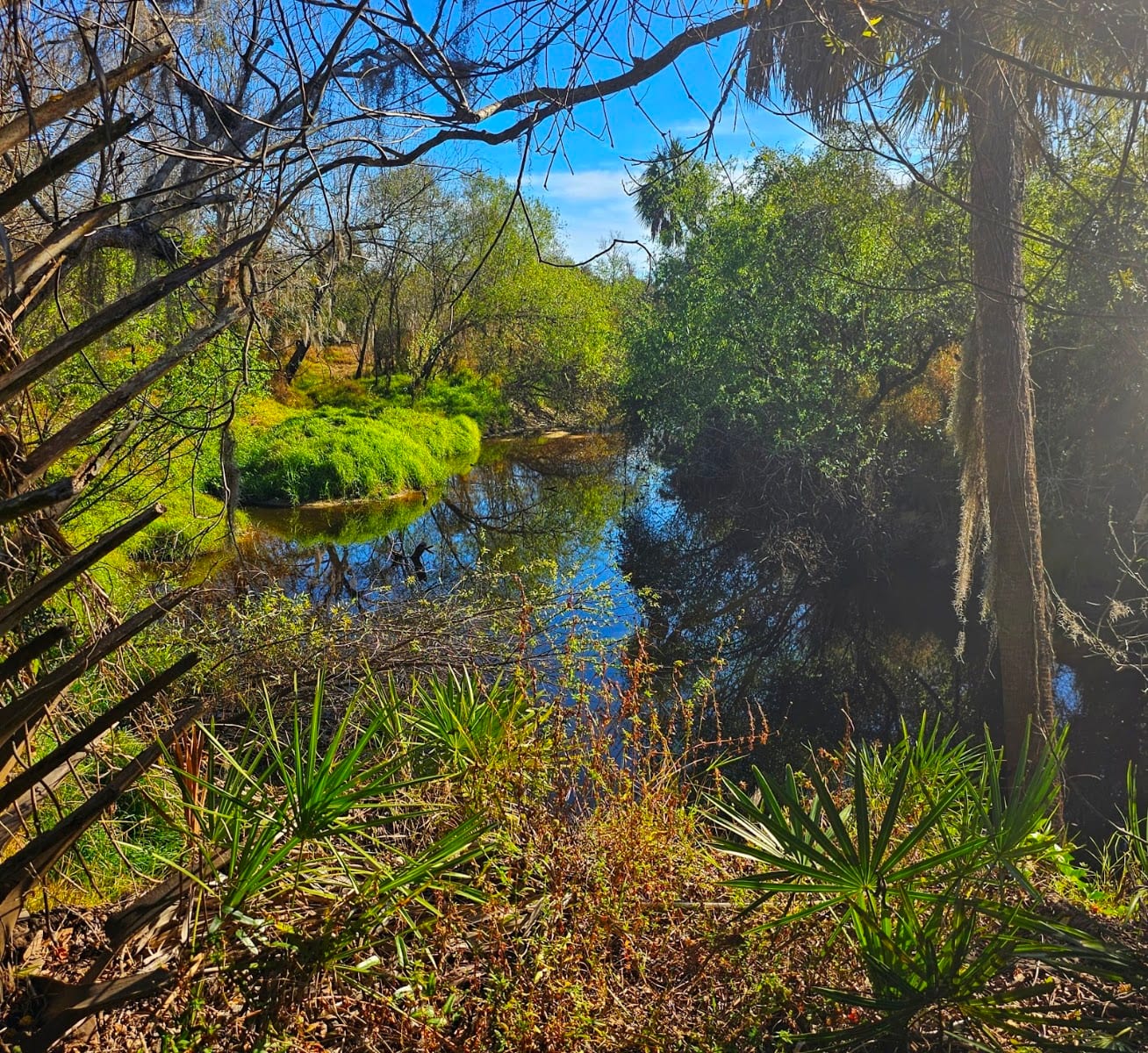 Prairie Creek Preserve