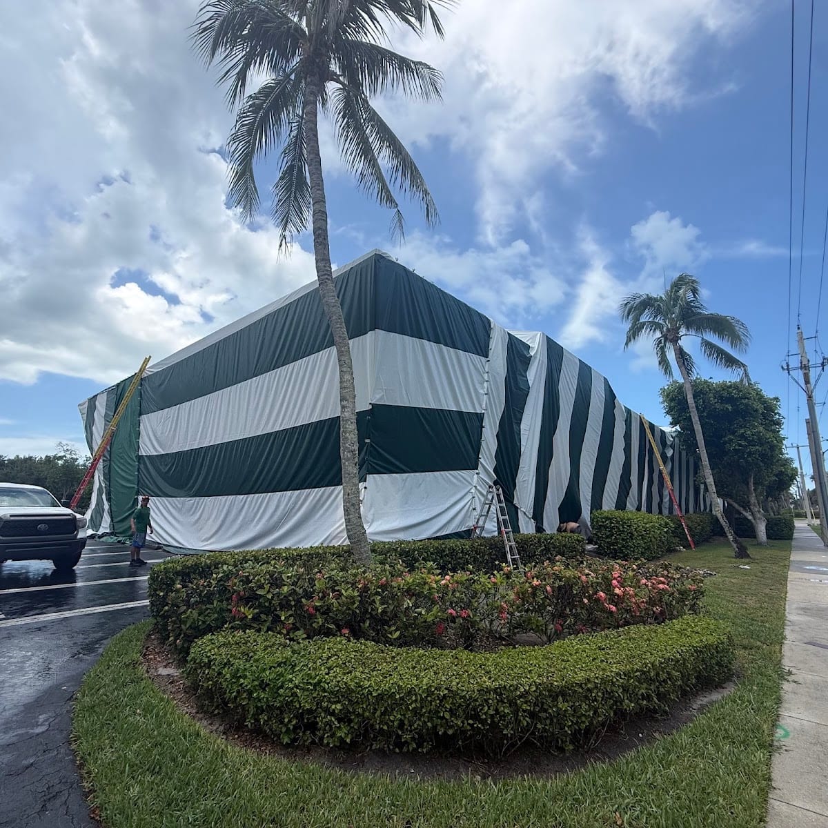 CareFree Pest Solutions, Inc., photo 4