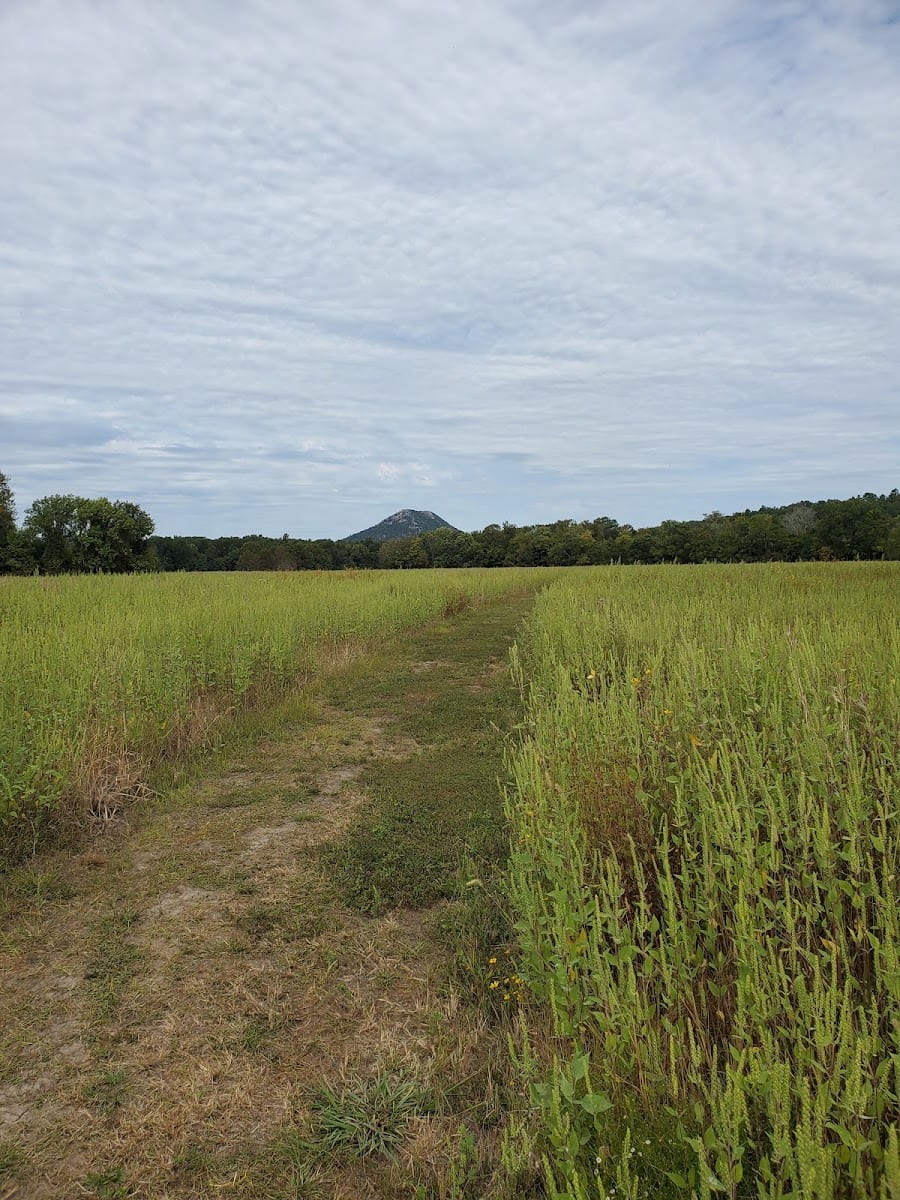 William Kirsch Preserve within Ranch North Woods