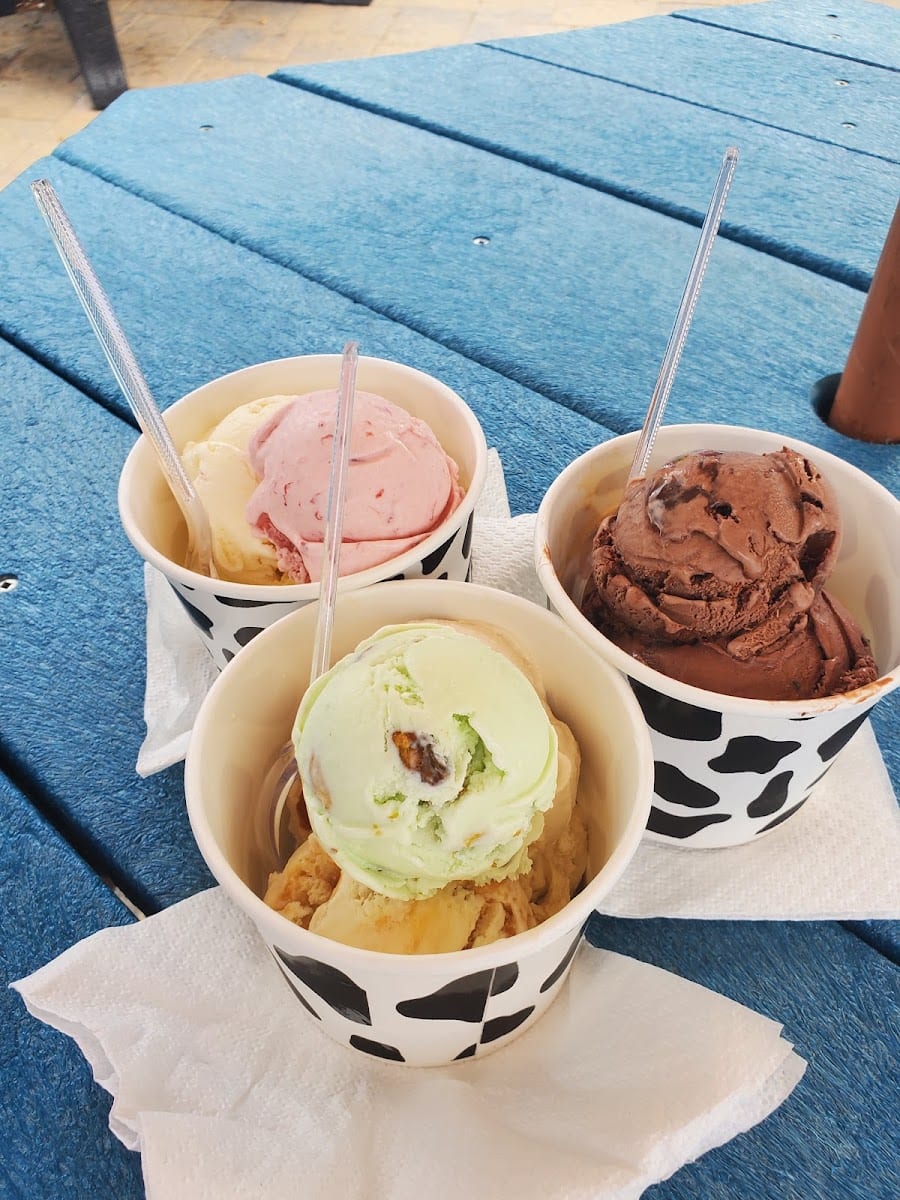 Working Cow Ice Cream & Eatery