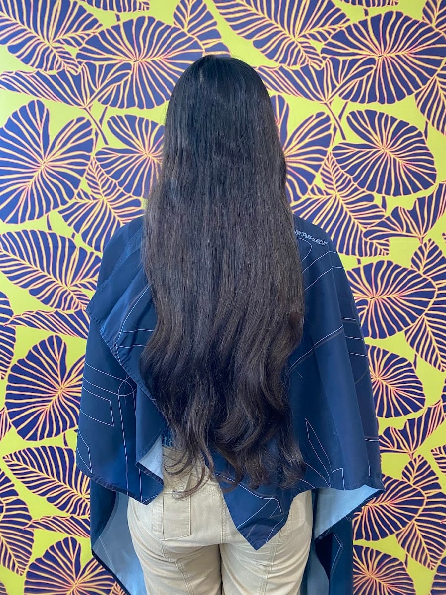 VIVE Hair Society