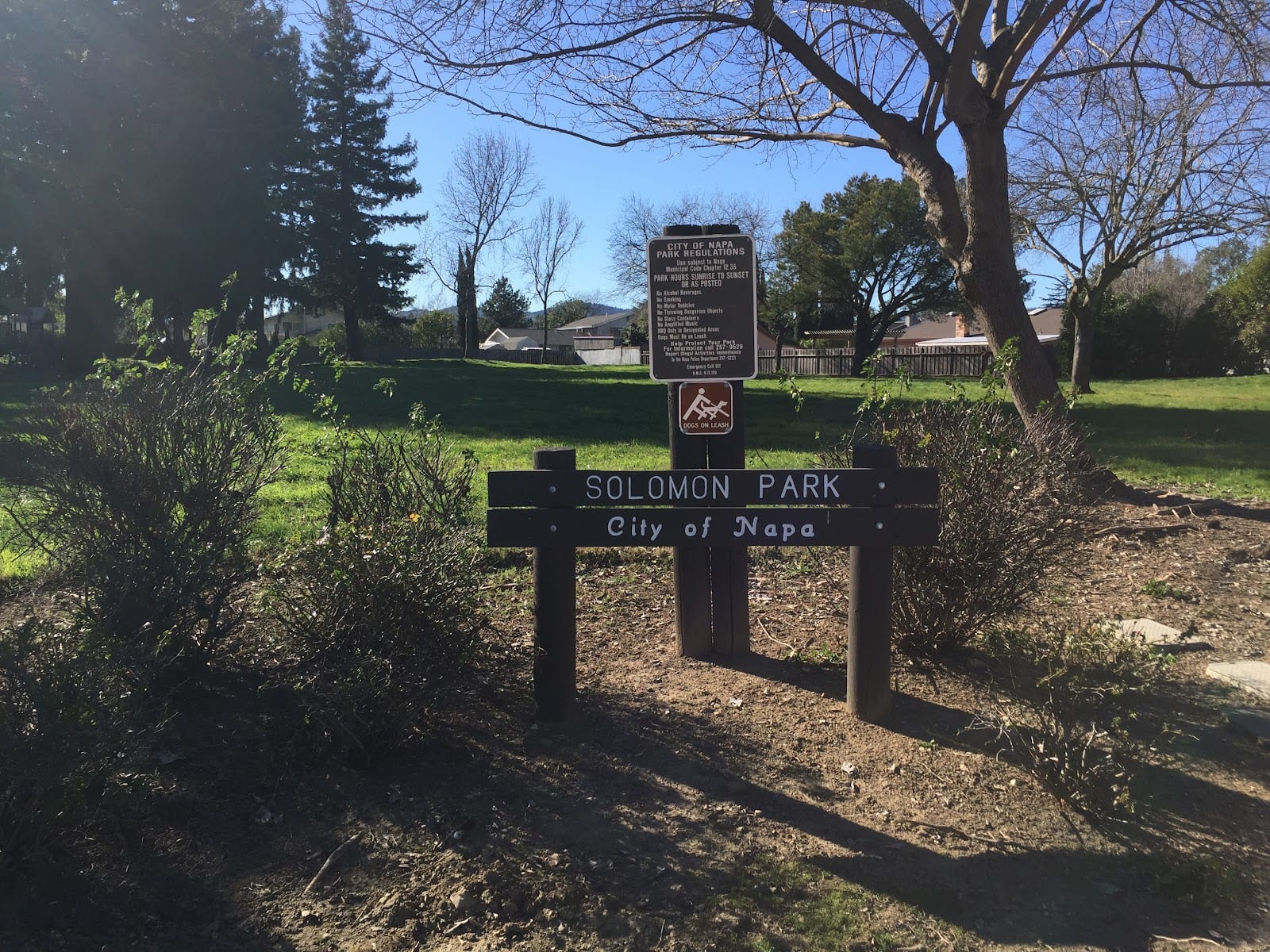 Solomon Park, photo 2