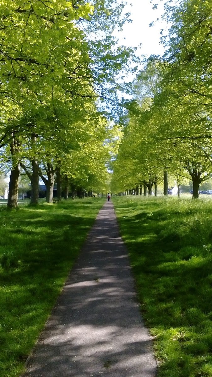 East common play area