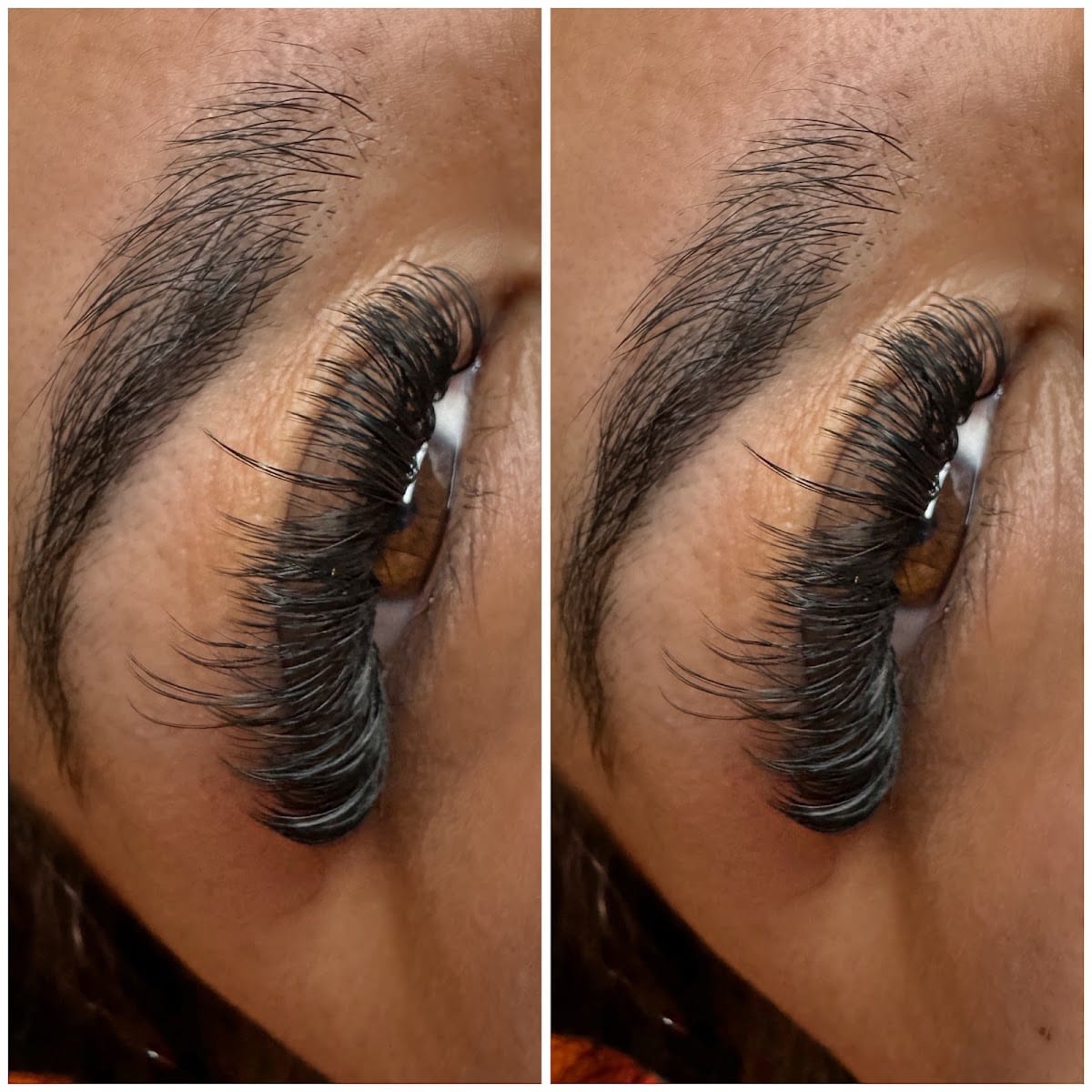 Lashed By Ash