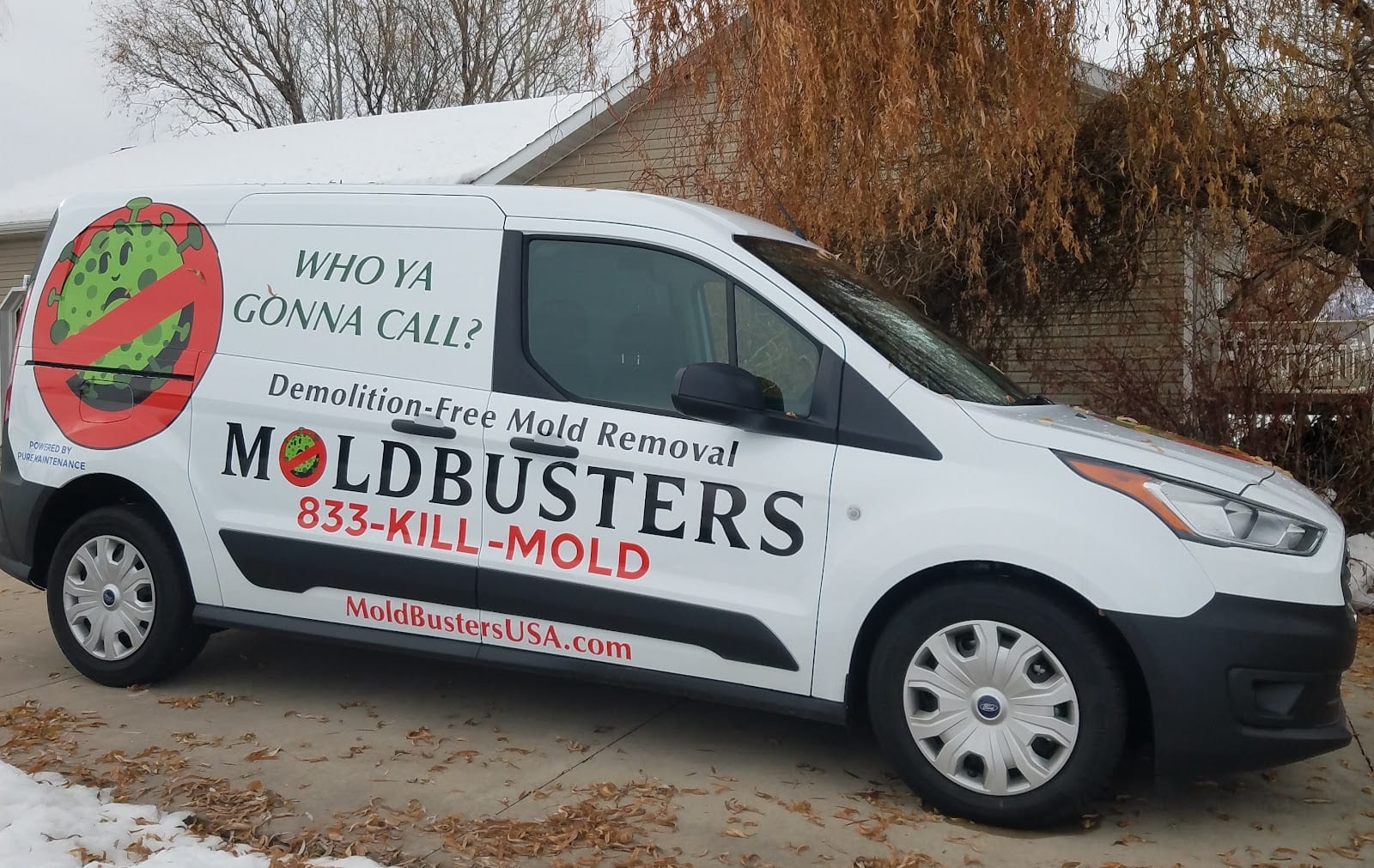 Mold Busters Logan, photo 2
