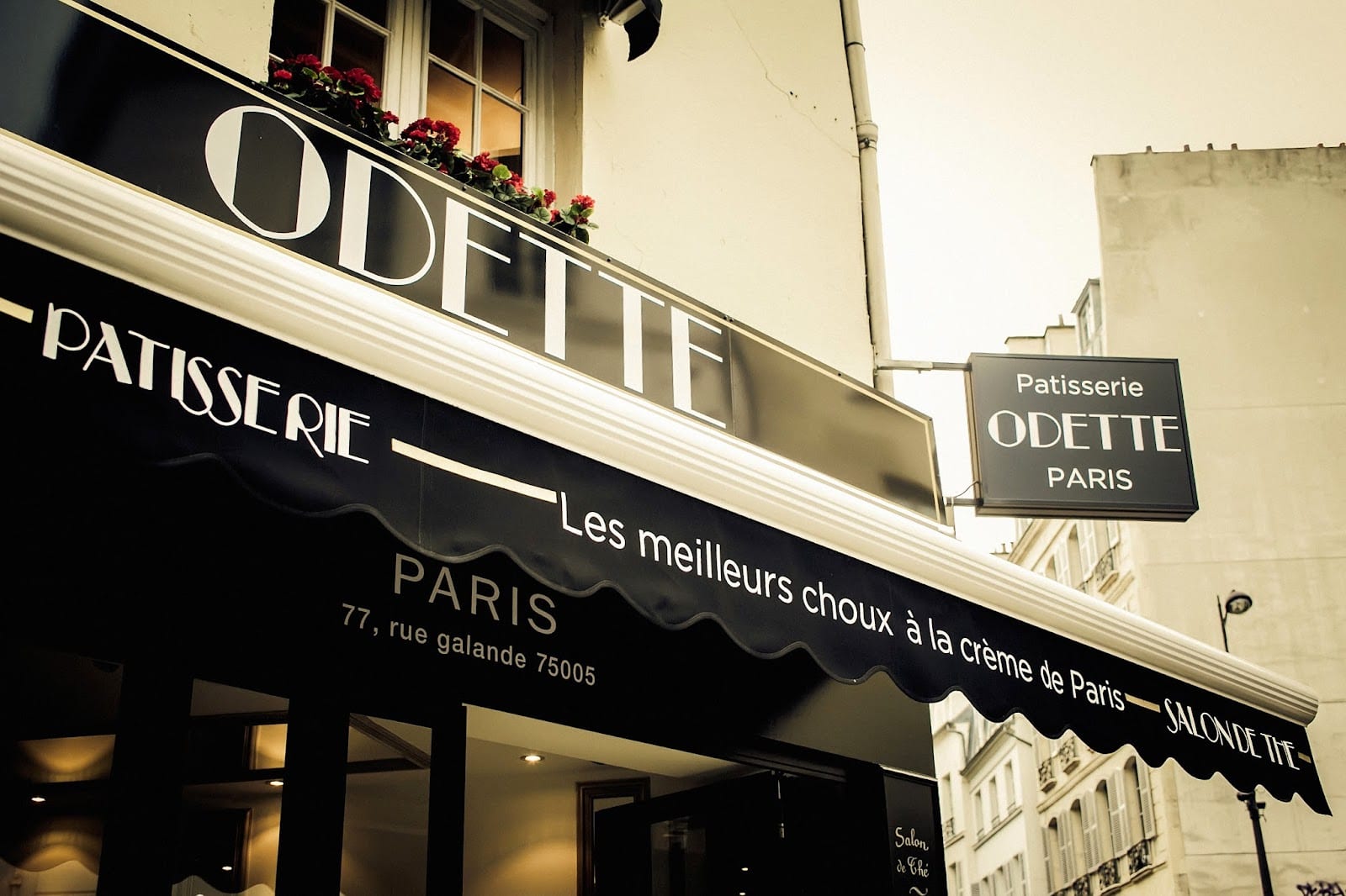 Odette, photo 2