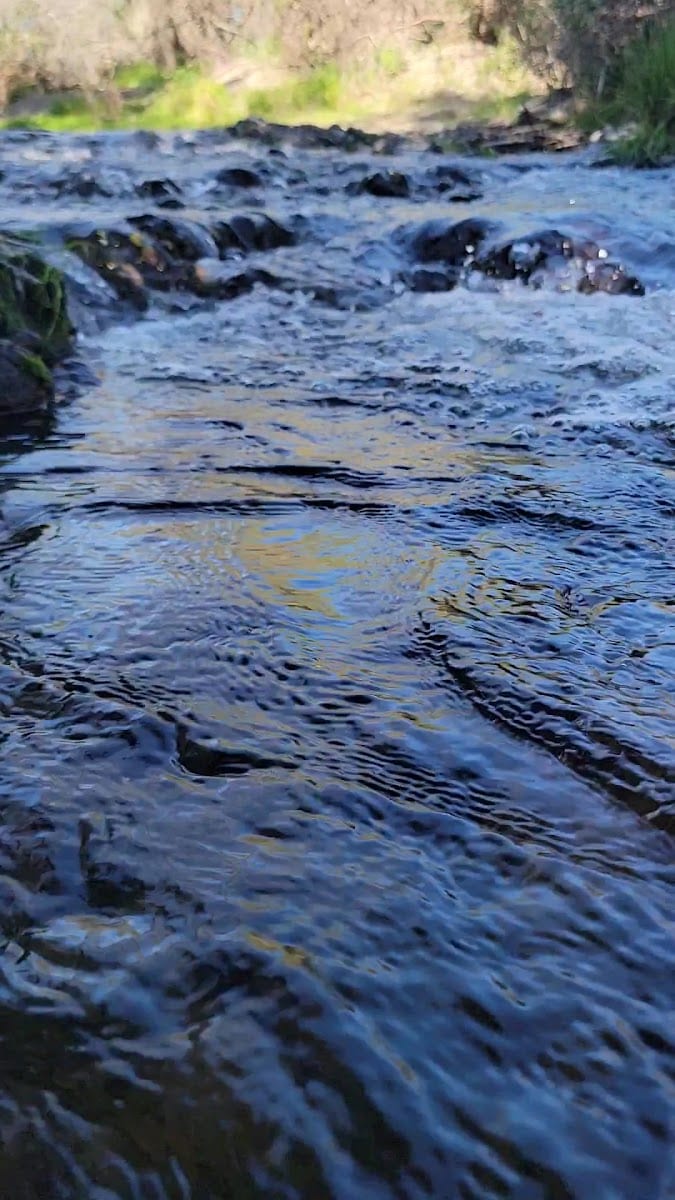 Napa River Trail, photo 2