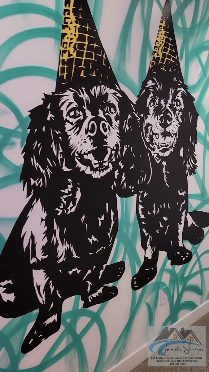 Lucky Dog Gelato, photo 3