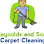 Reynolds & Sons Carpet Cleaning