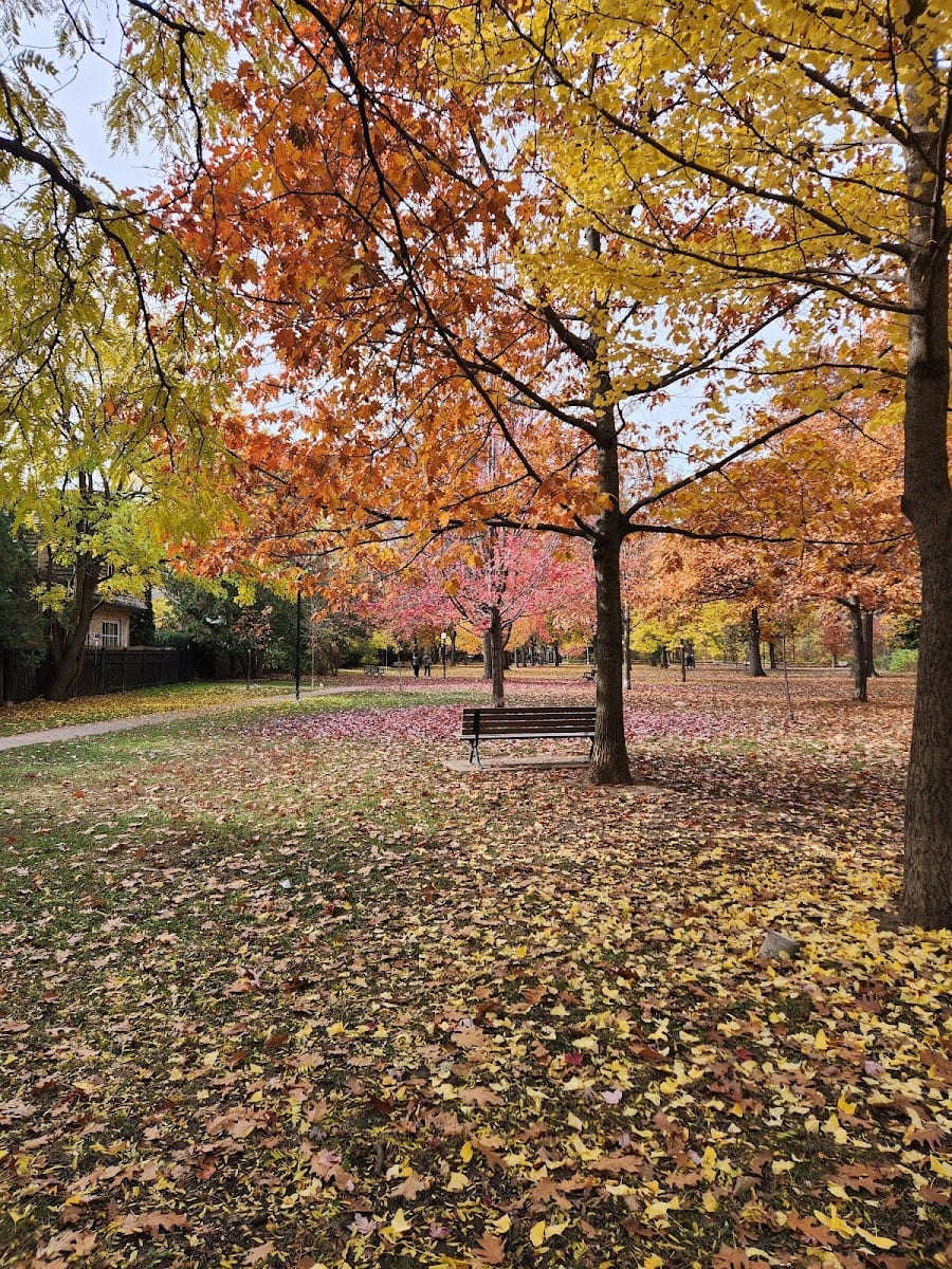Craigleigh Gardens Dog Park, photo 3