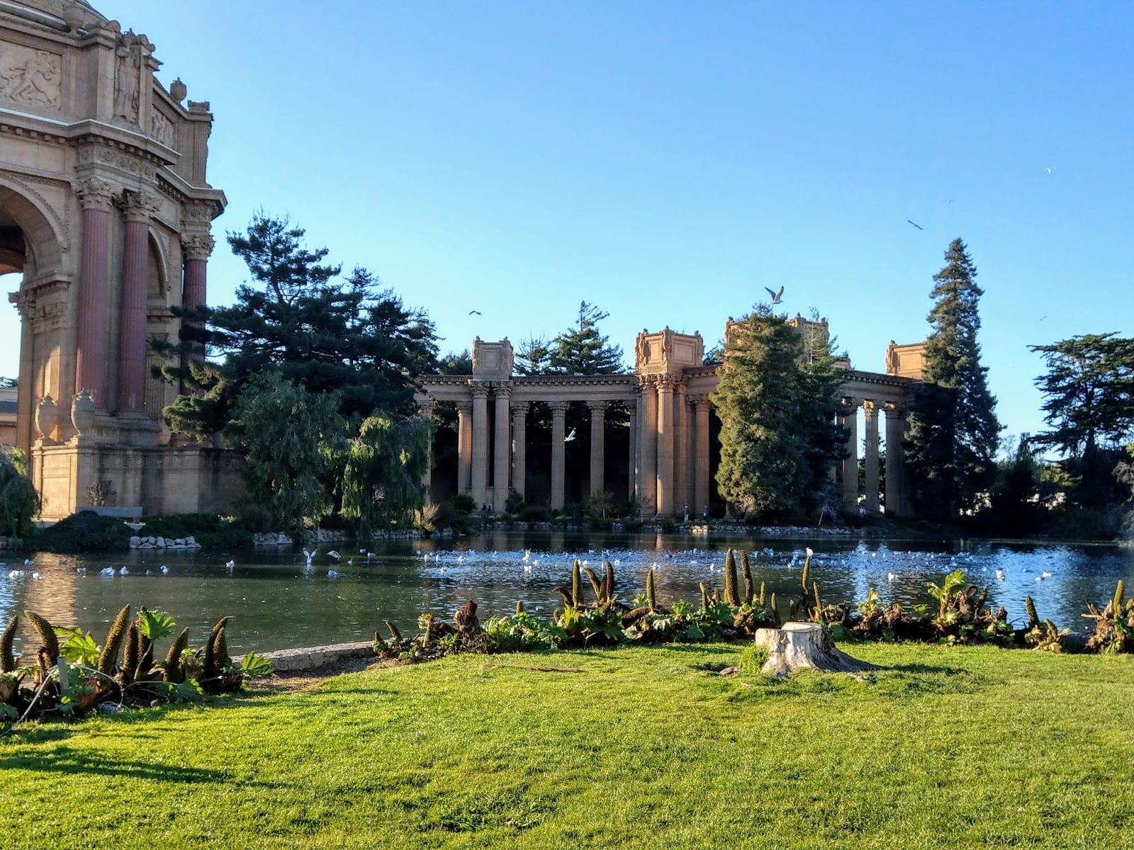 Palace of Fine Arts, photo 3