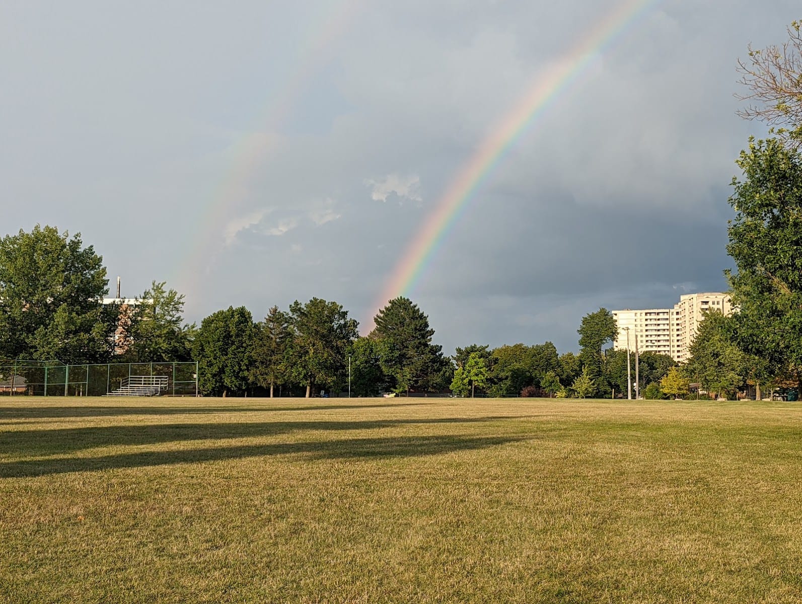 Driftwood Park