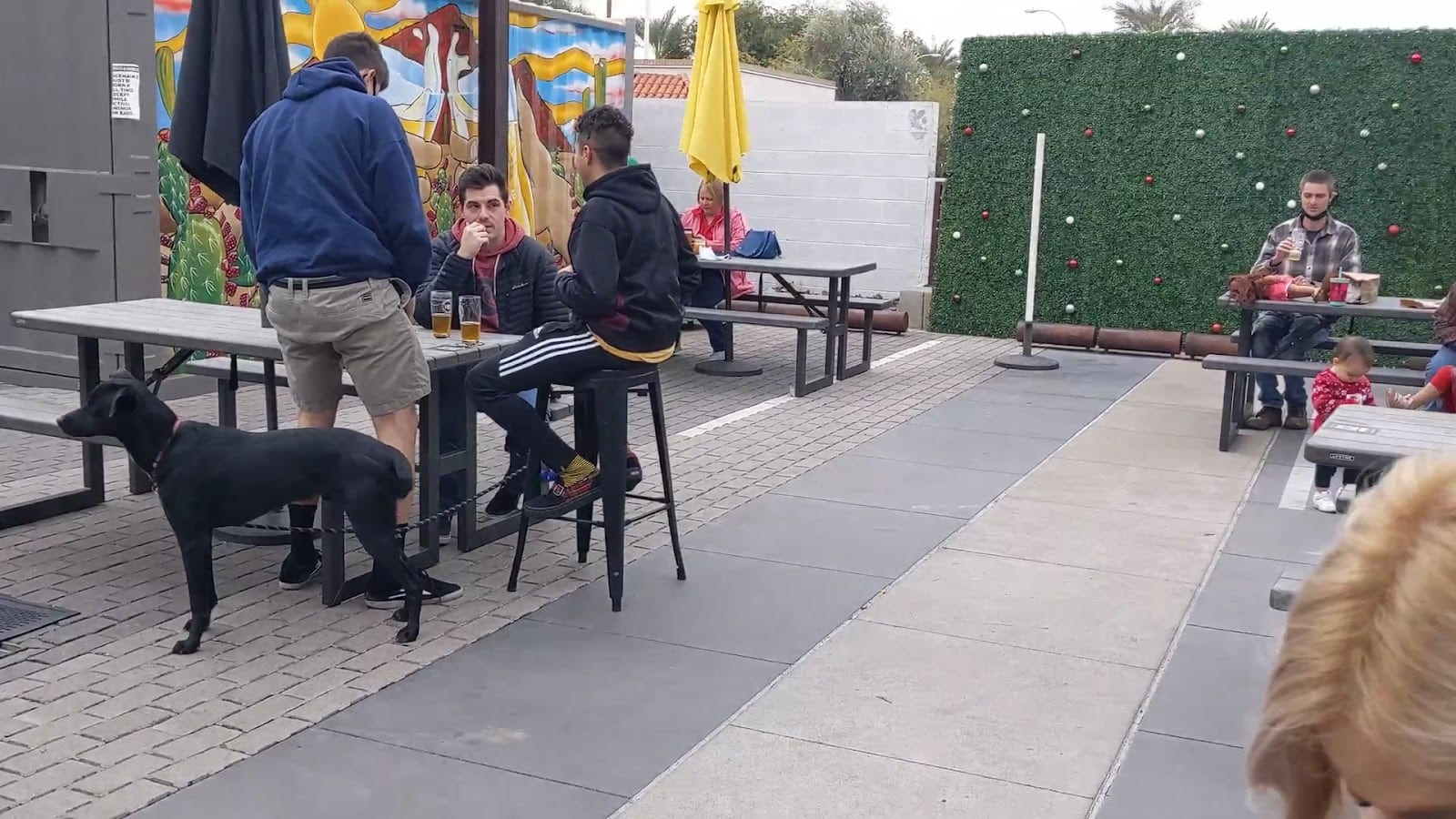 Goldwater Brewing Co., photo 3