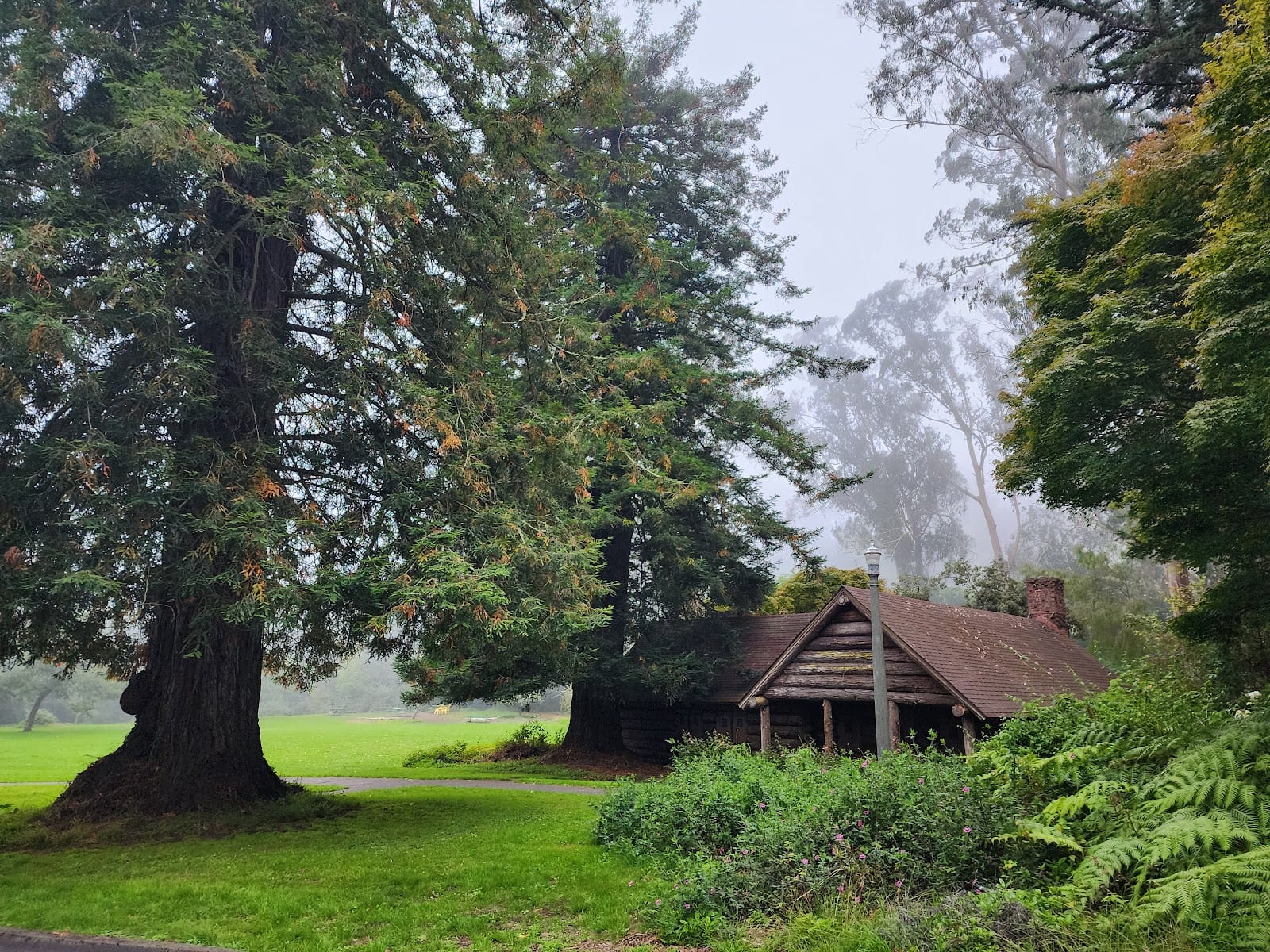 Golden Gate Park – Pioneer Log Cabin Picnic Area, photo 3