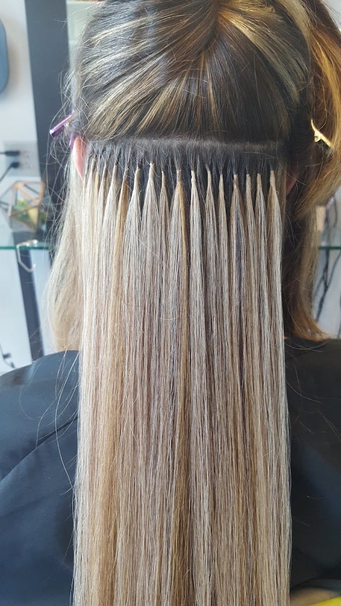 Wild Rose Hair Lounge