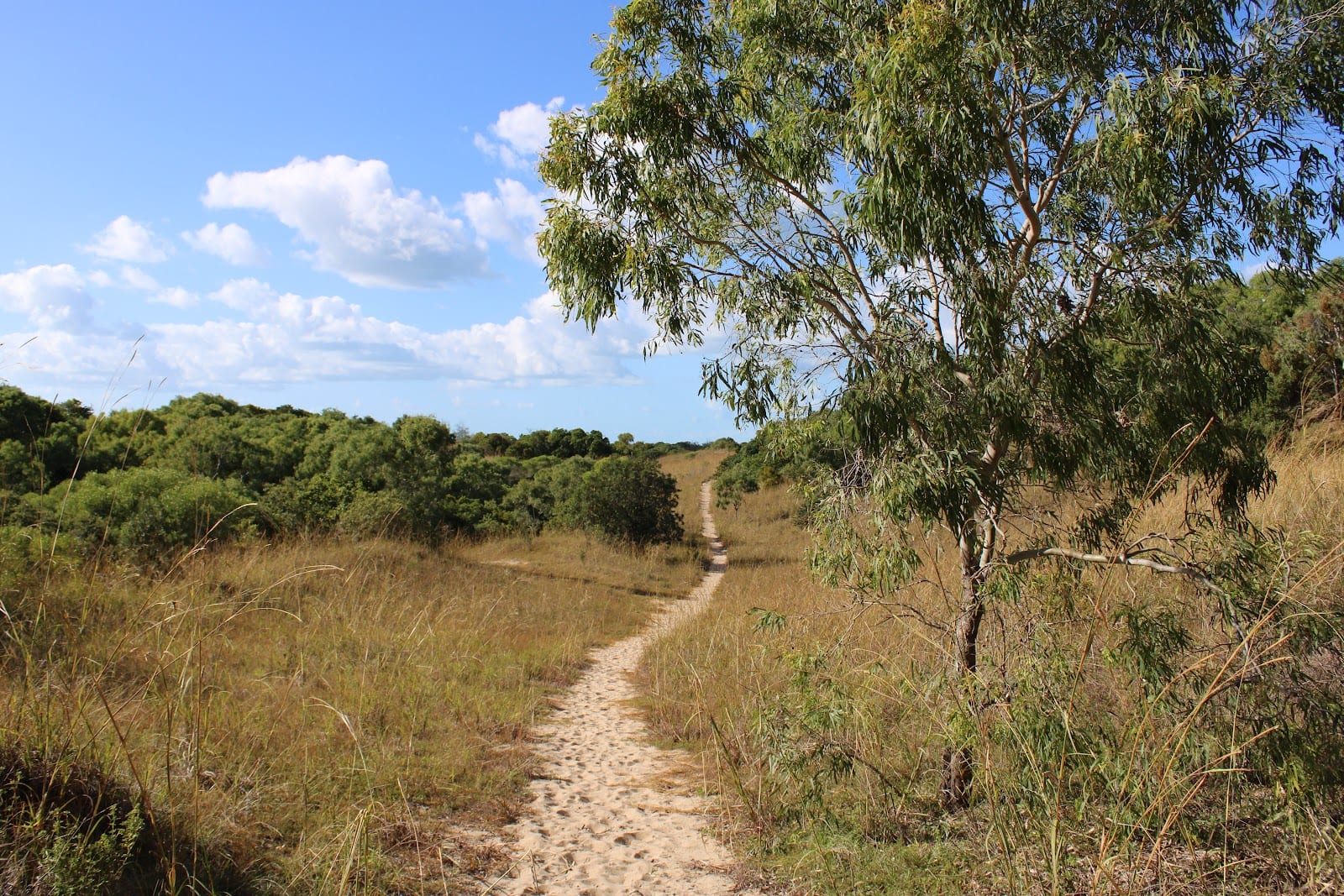Slade Point Natural Reserve Lookout