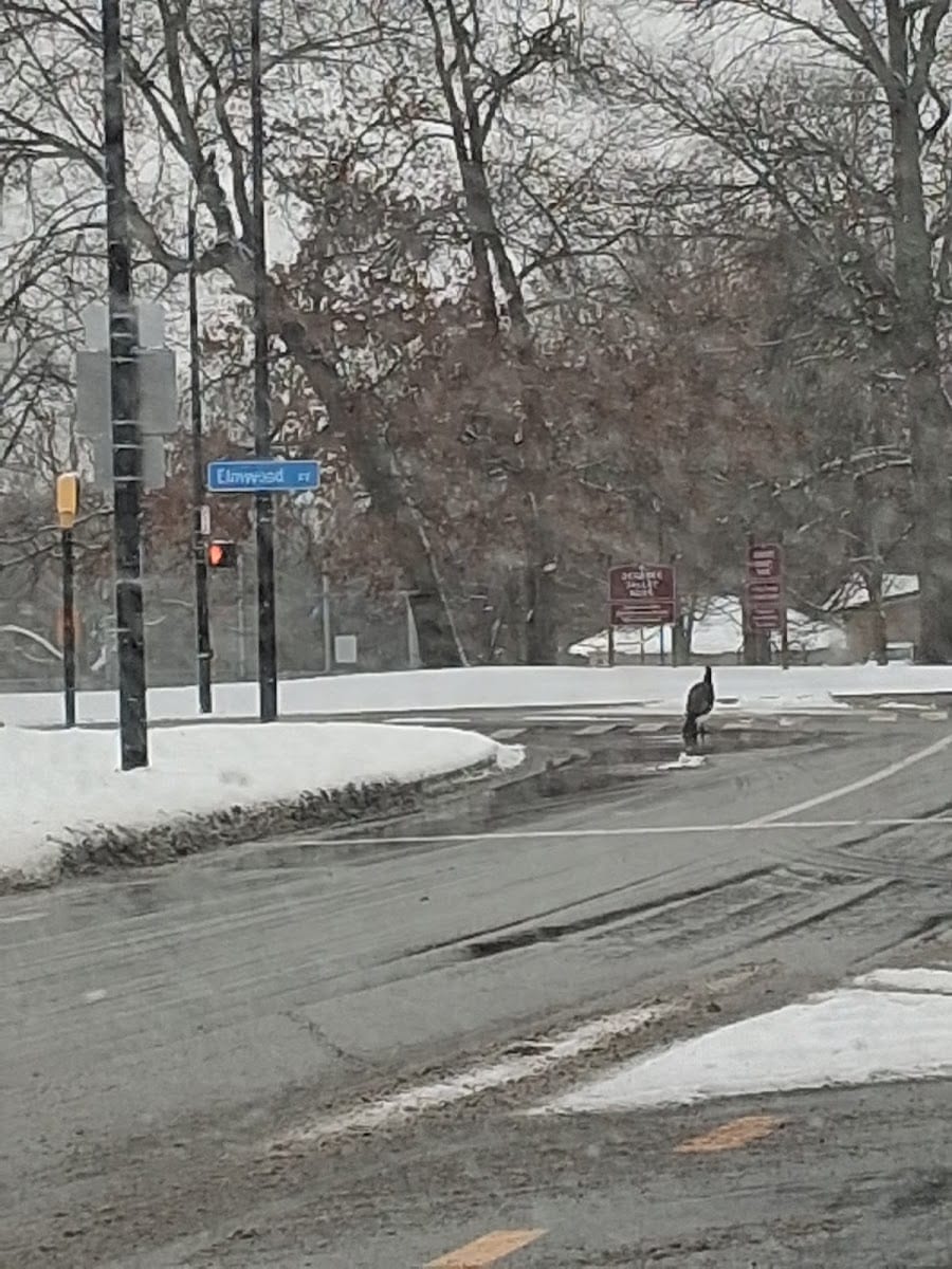 Genesee Valley Park West