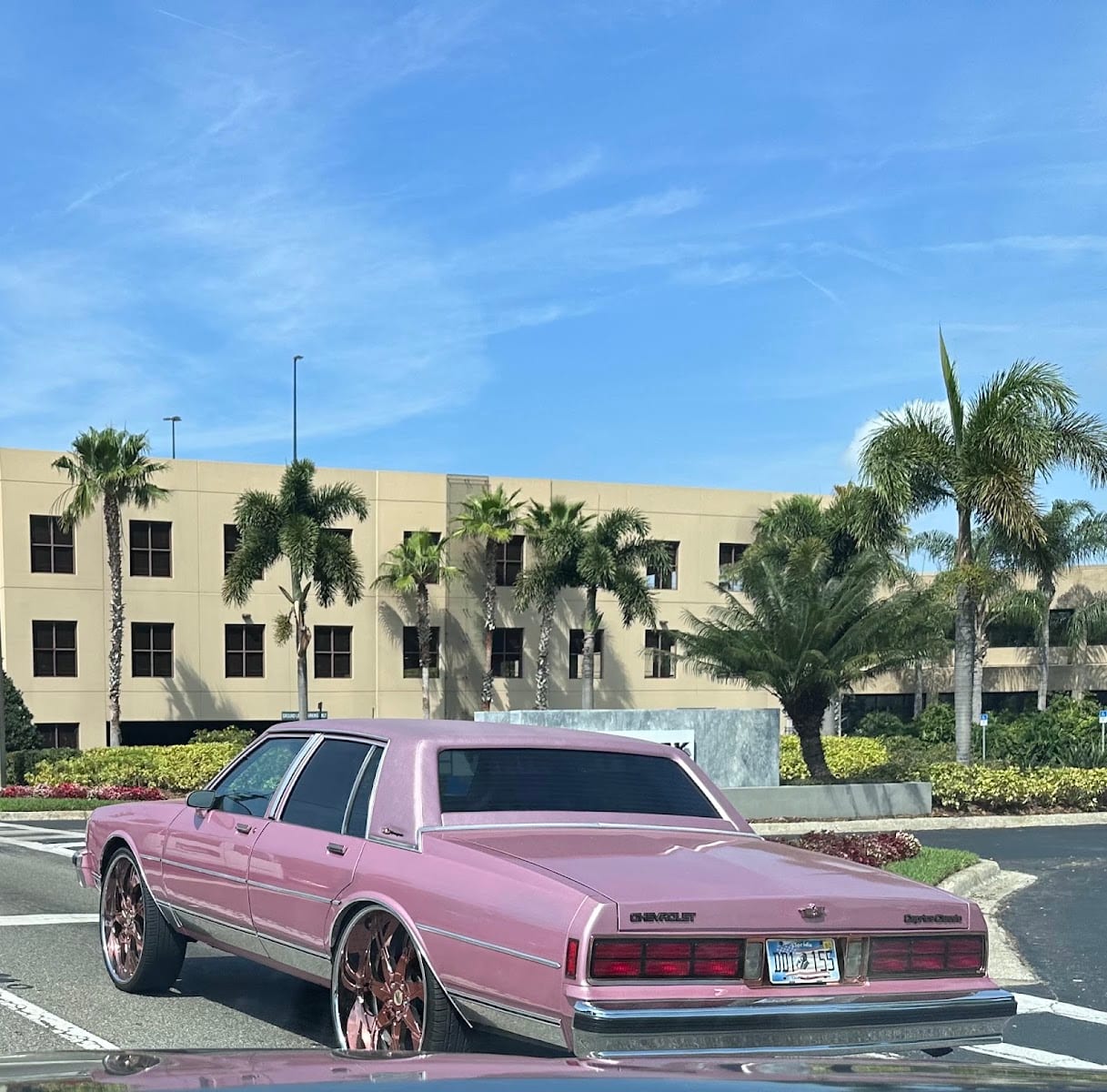 Rooter-Man of Tampa Bay
