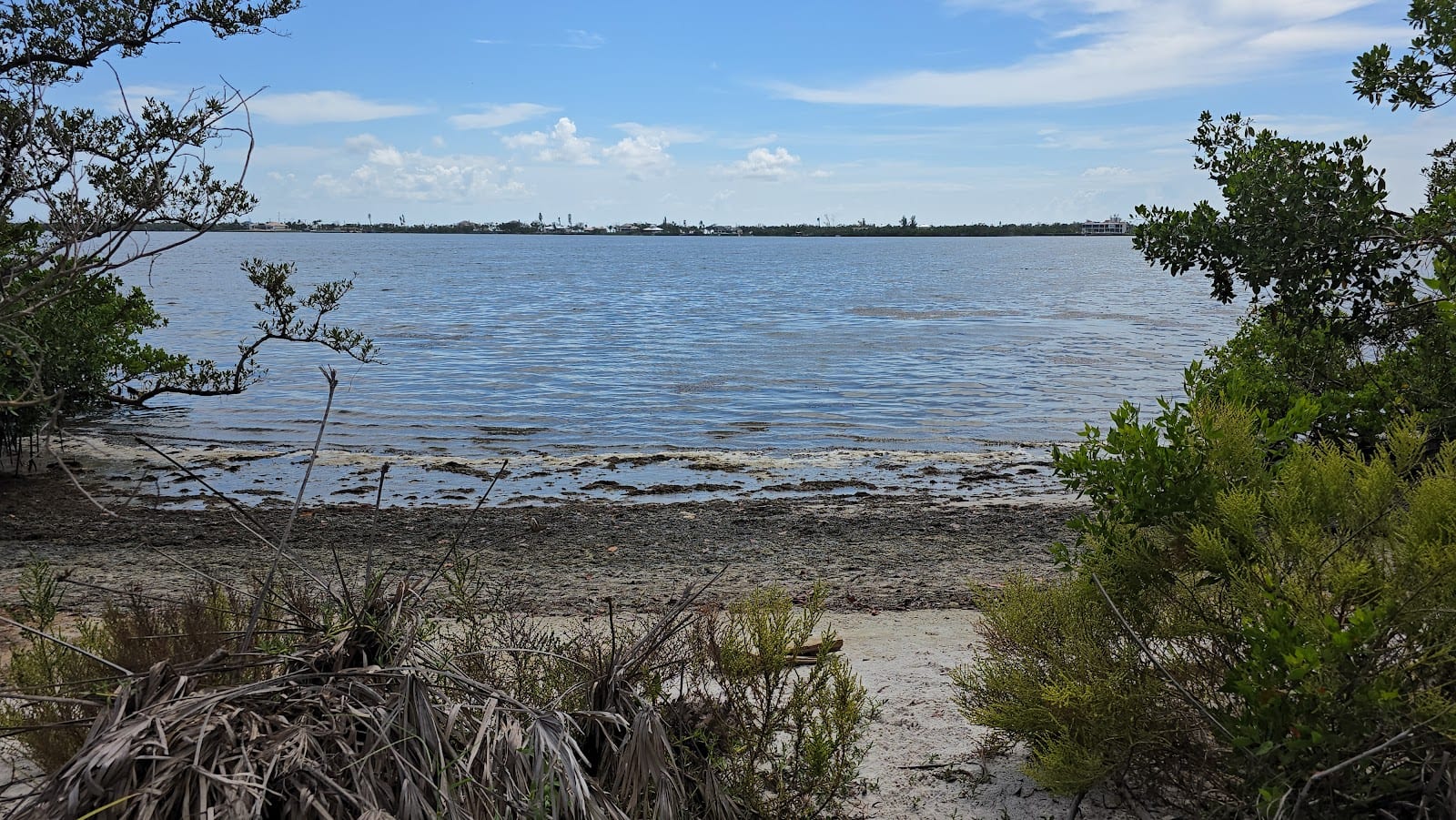 Lemon Bay Park
