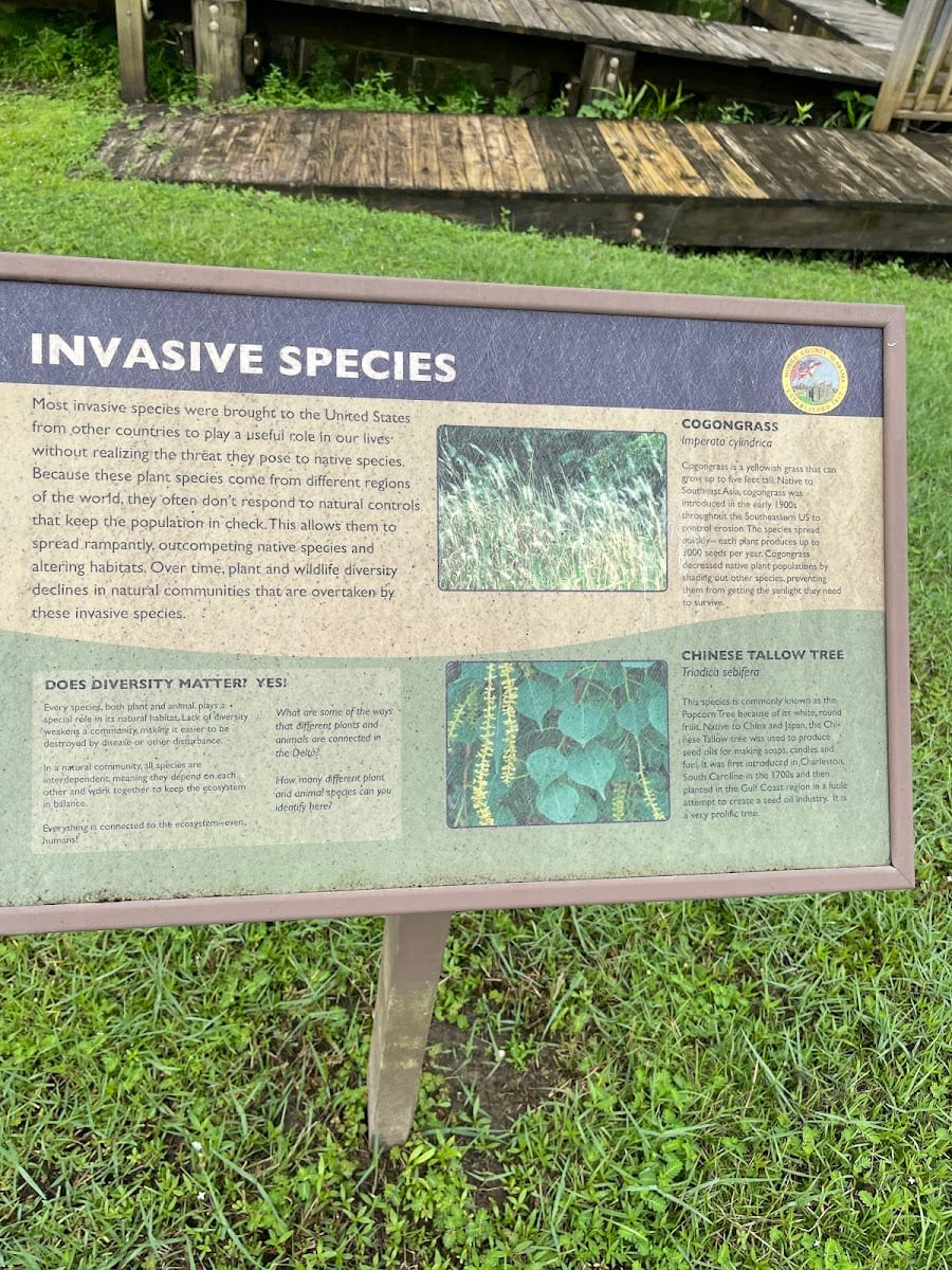 Mobile County River Delta Nature Walk, photo 3