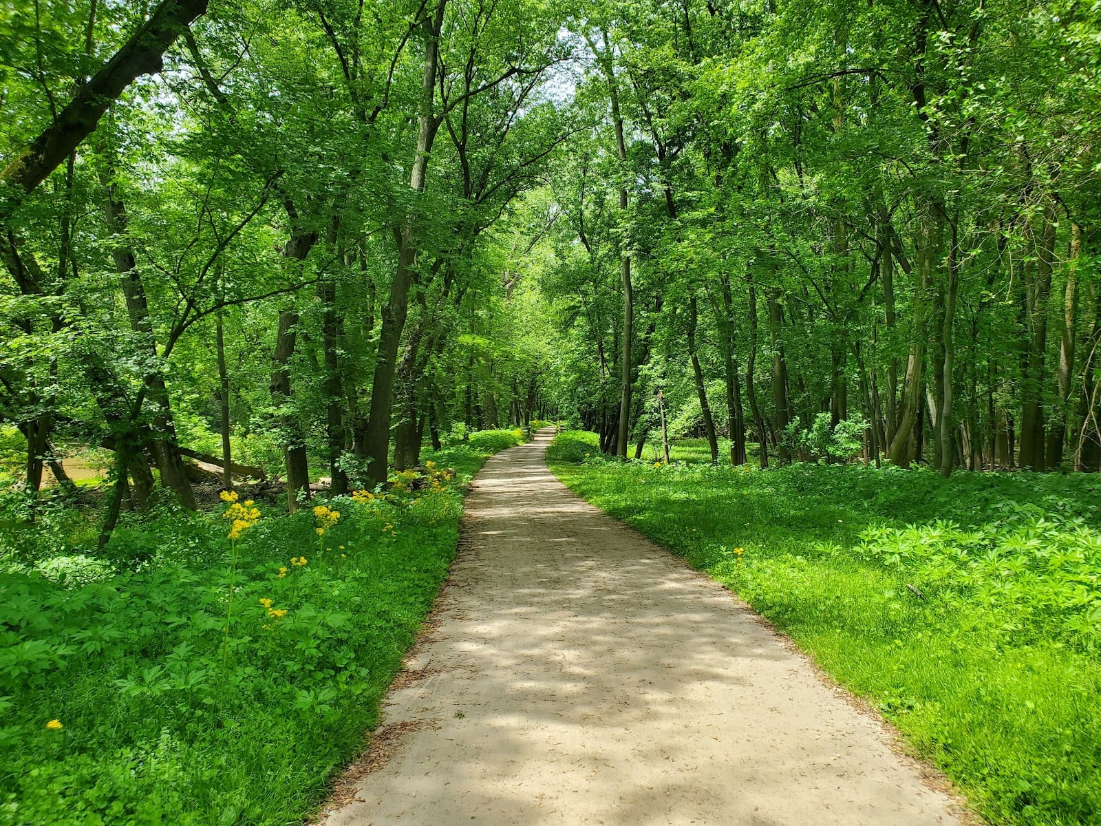 Maumee Trailhead