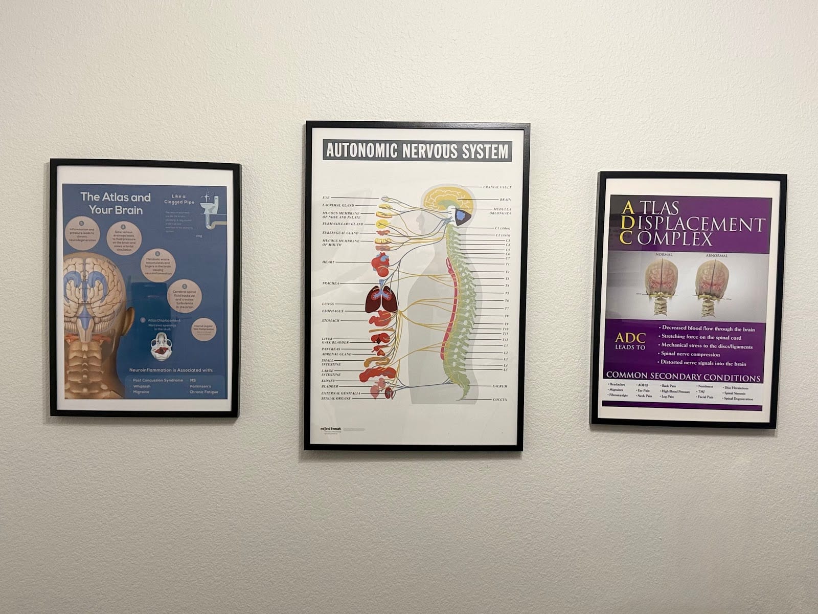 Gana Specific Chiropractic Round Rock, photo 4