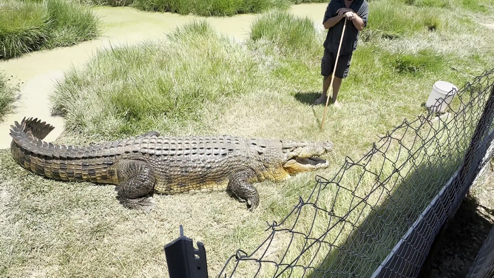 BREDL'S WILDLIFE, photo 3