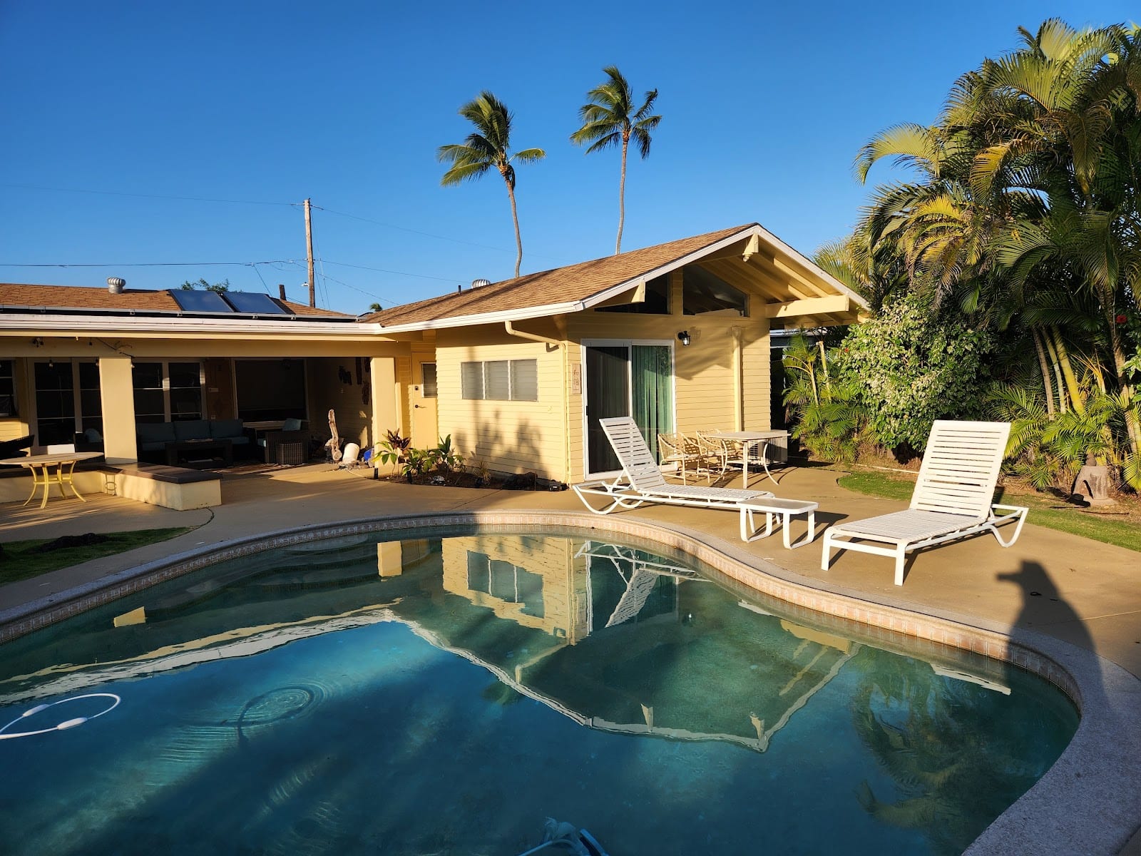 Papaya Paradise Bed & Breakfast, photo 3