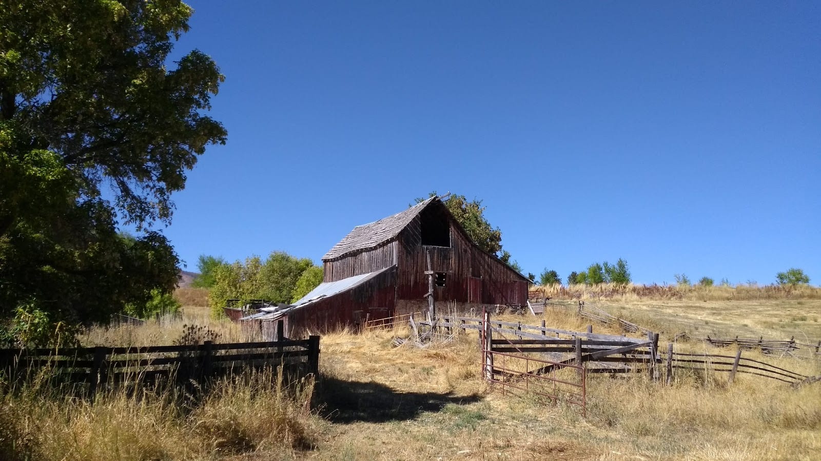 Pioneer Park, photo 3