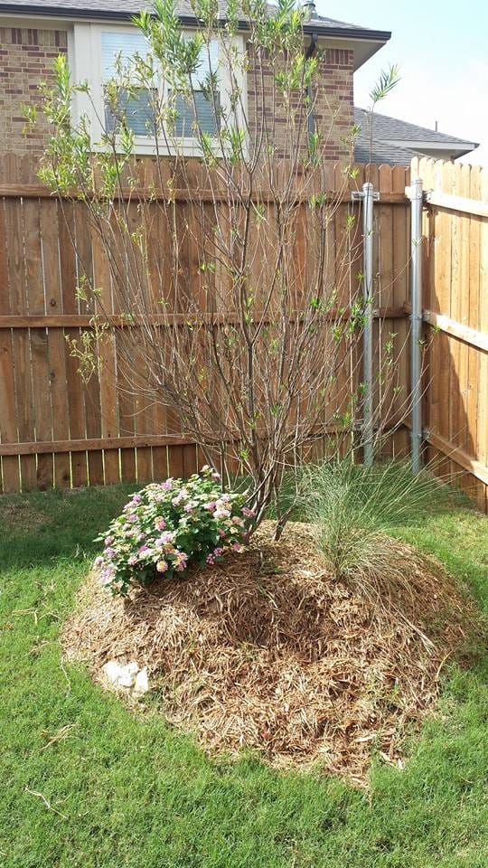 Wright Way Landscaping, photo 3