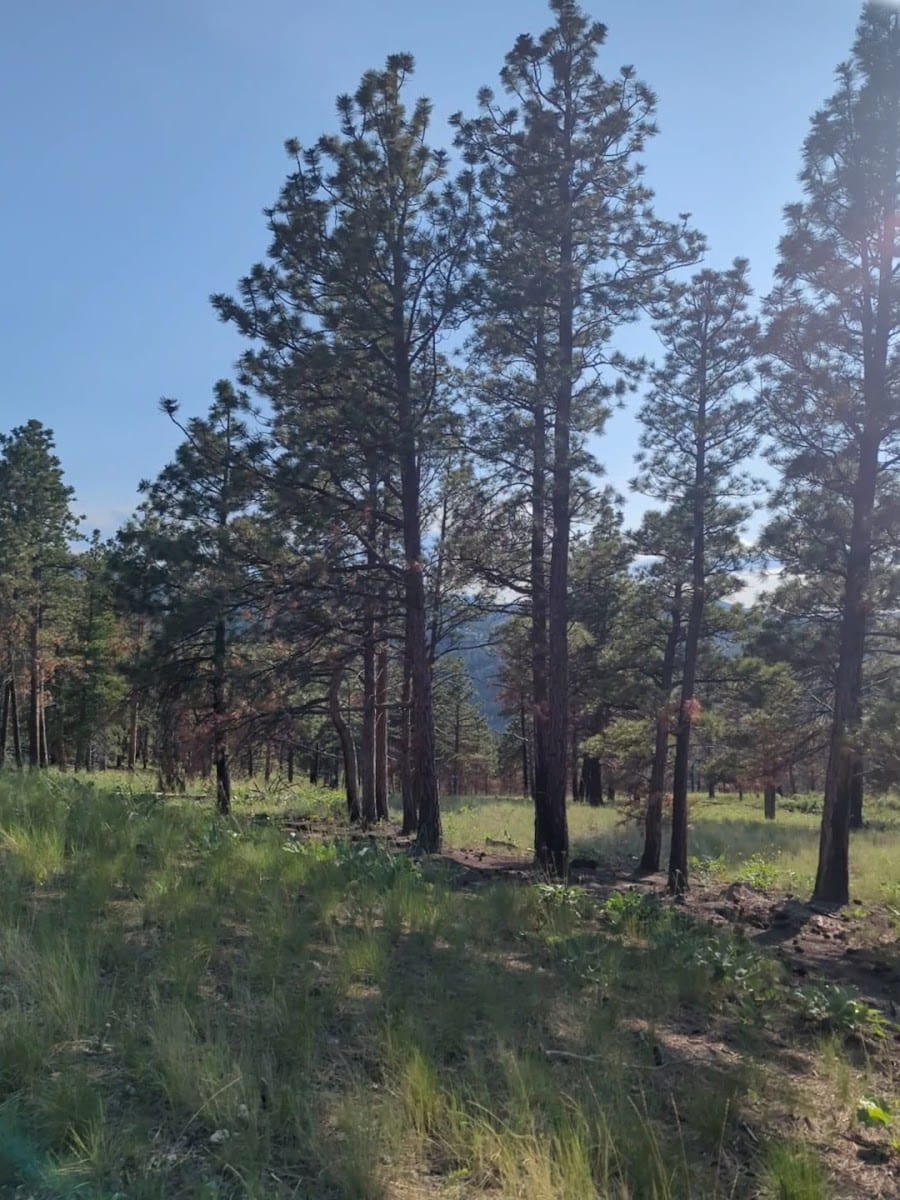 Old Shooting Range Trailhead, photo 2
