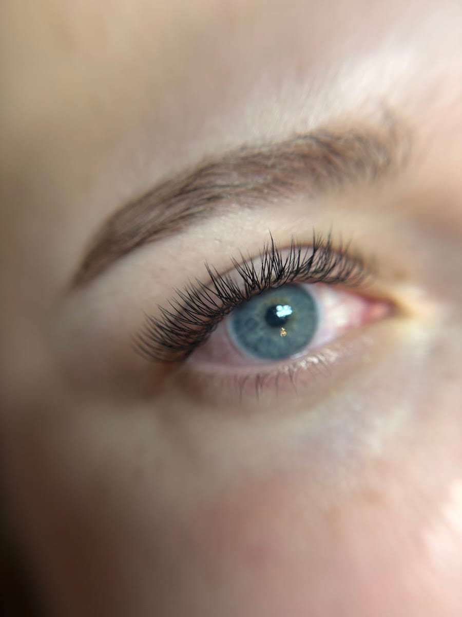 The Lash Lab, photo 2