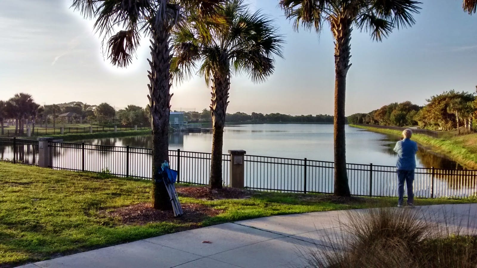 Maxine Barritt Park, photo 3