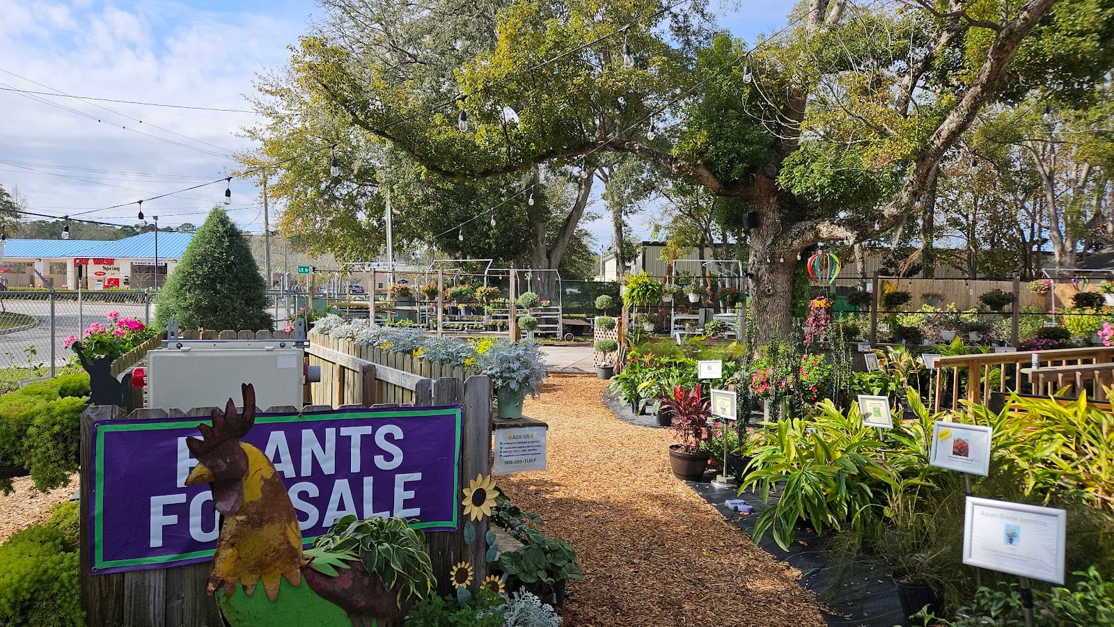 TLC Total Lawn Care
