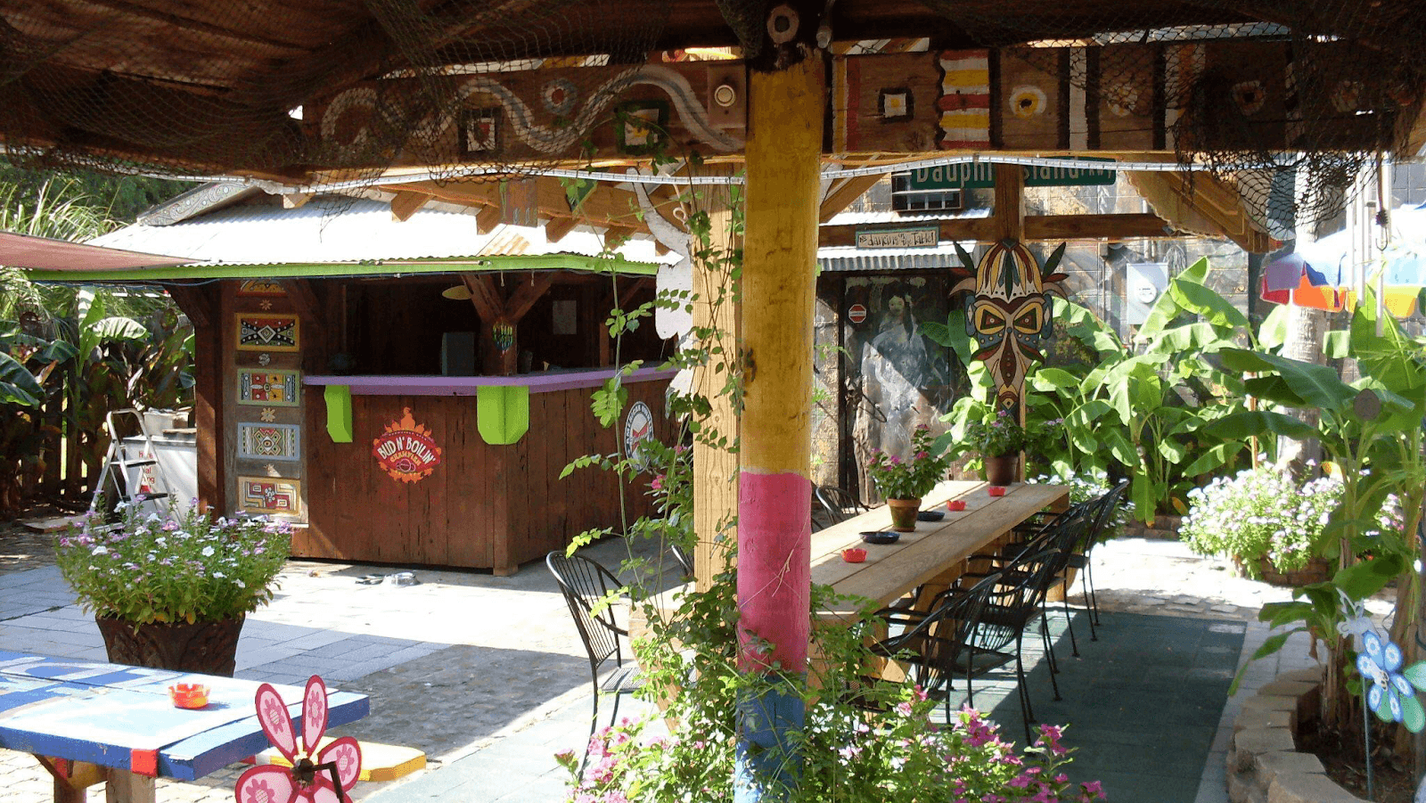Zebra Club, photo 2