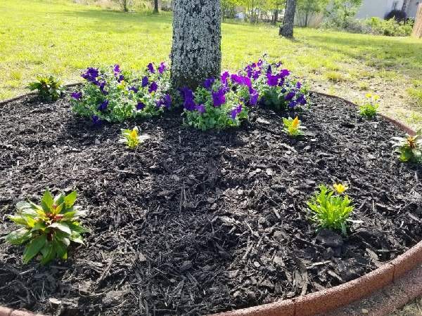 J&A Landscaping, photo 3