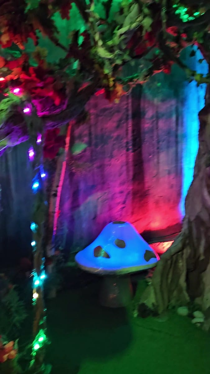 Daydream Adventures, photo 3
