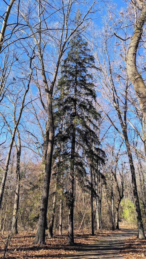 Urbandale Park, photo 2
