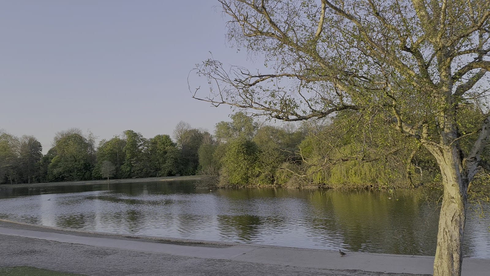 Verulamium Park, photo 2