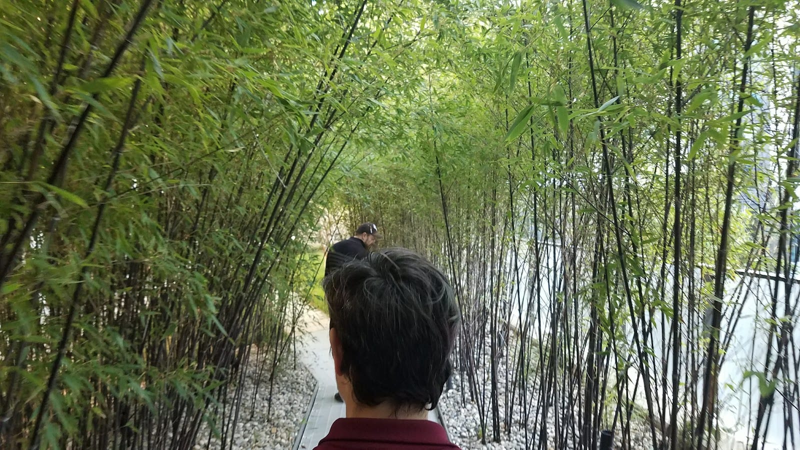 Pacific Felt Factory (arts complex), photo 3