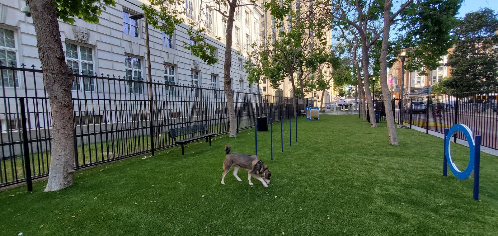 U.N. Plaza Dog Park, photo 3