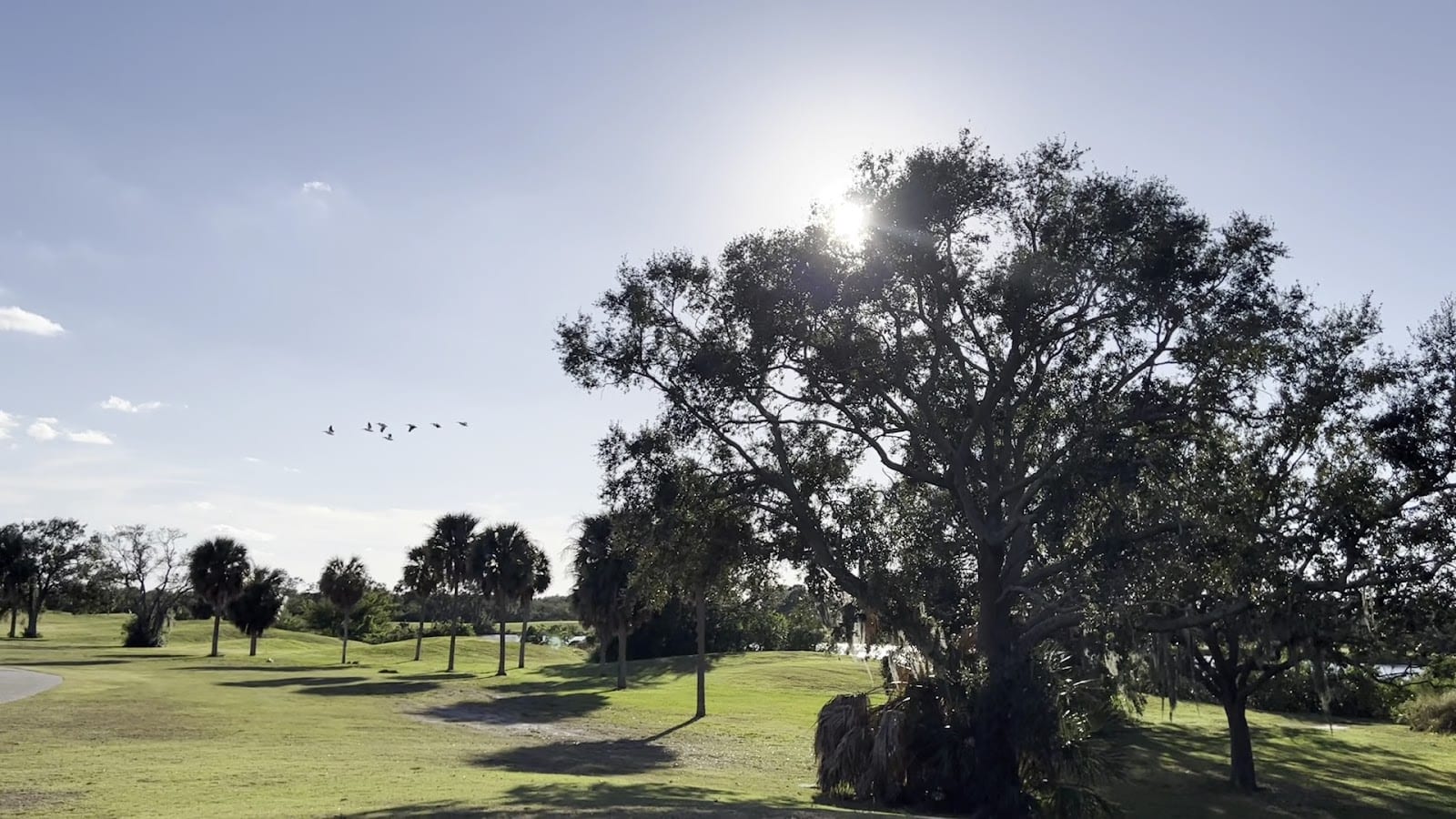 Bay Palms Golf Complex, photo 3