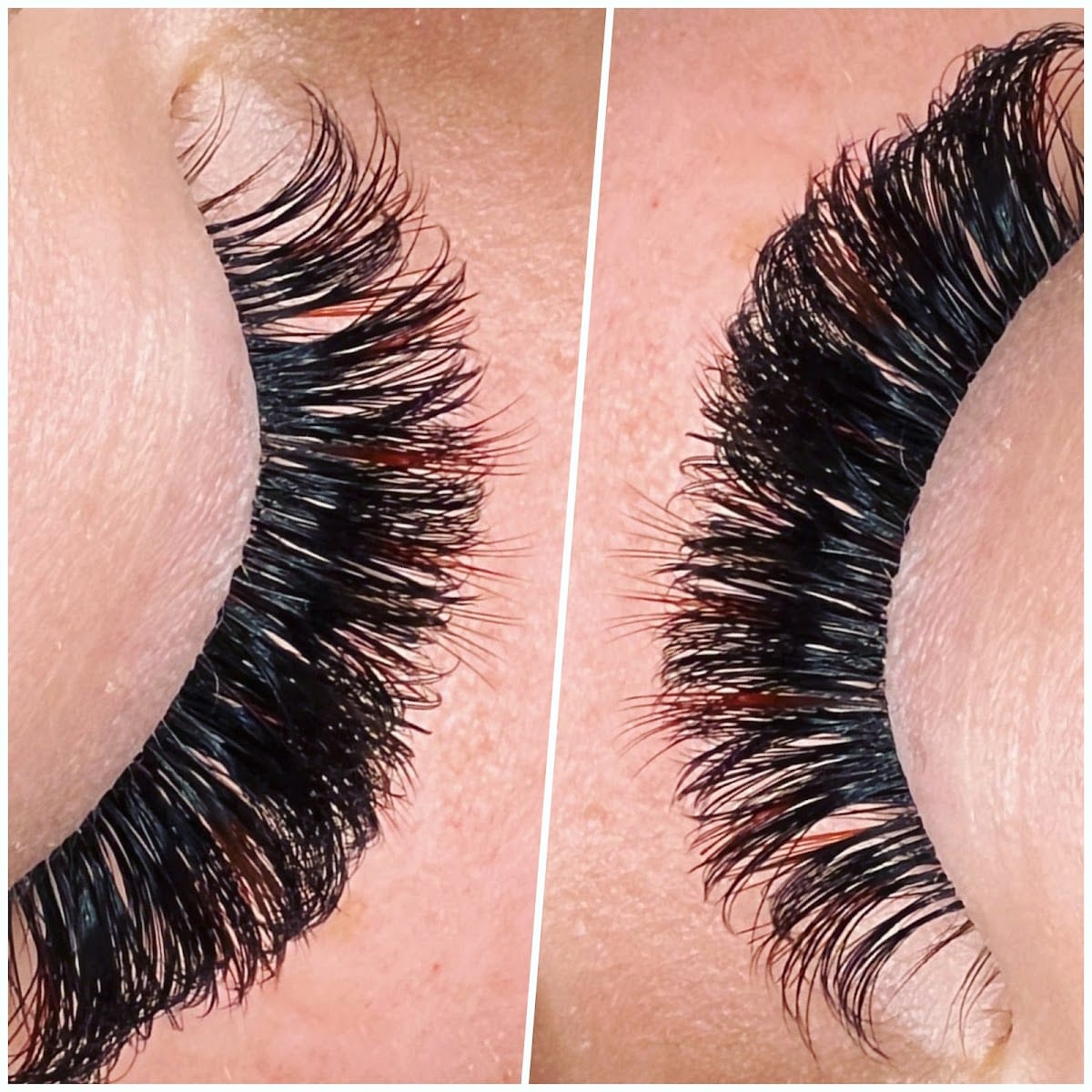 Lash Aesthetics
