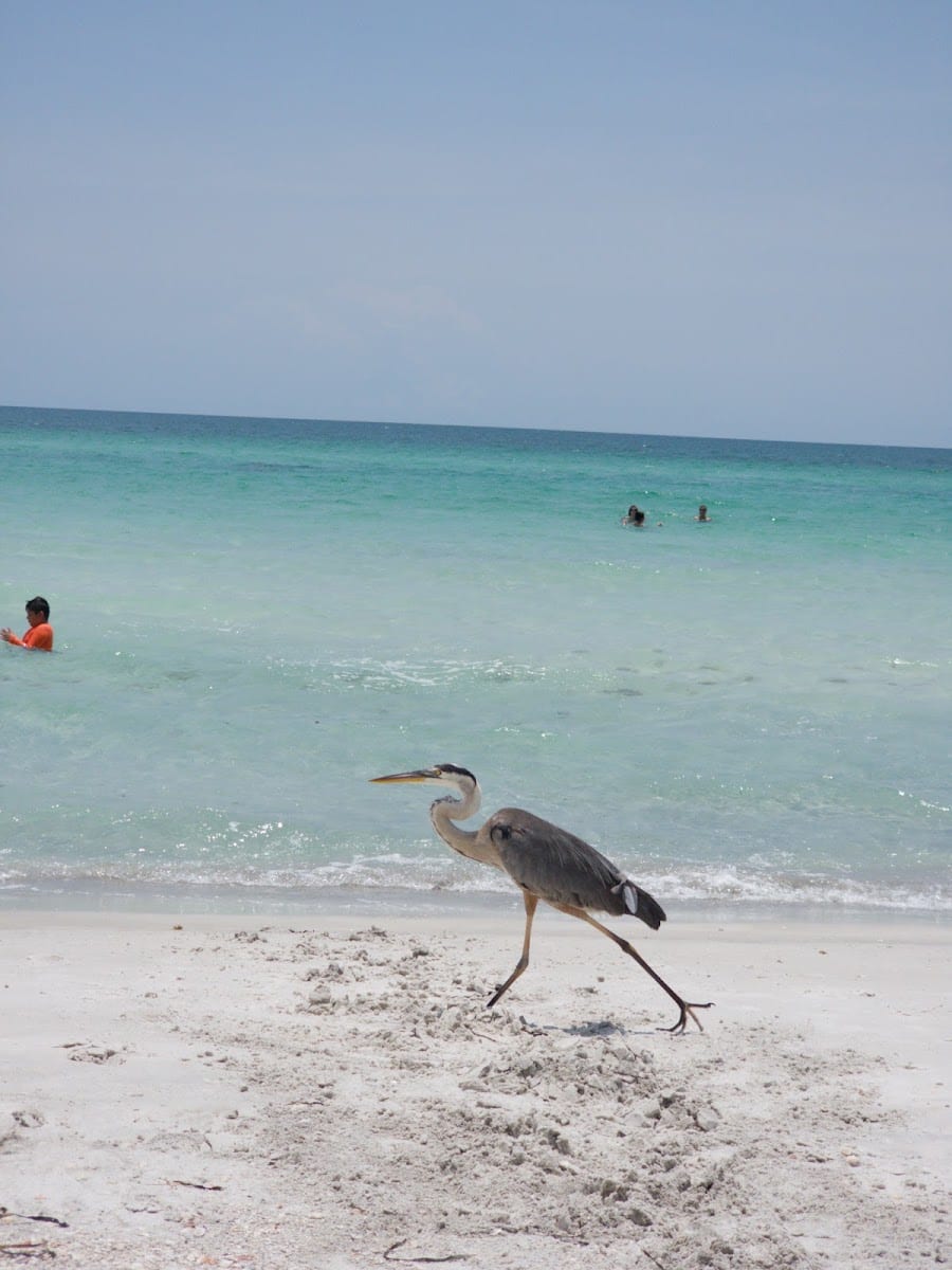Public Beach Access, photo 2