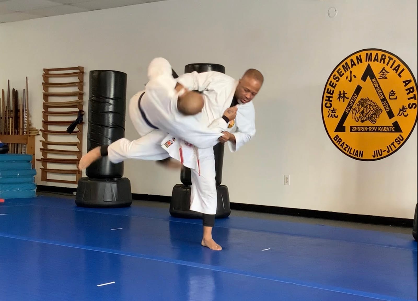 Cheeseman Martial Arts Brazilian Jiu Jitsu