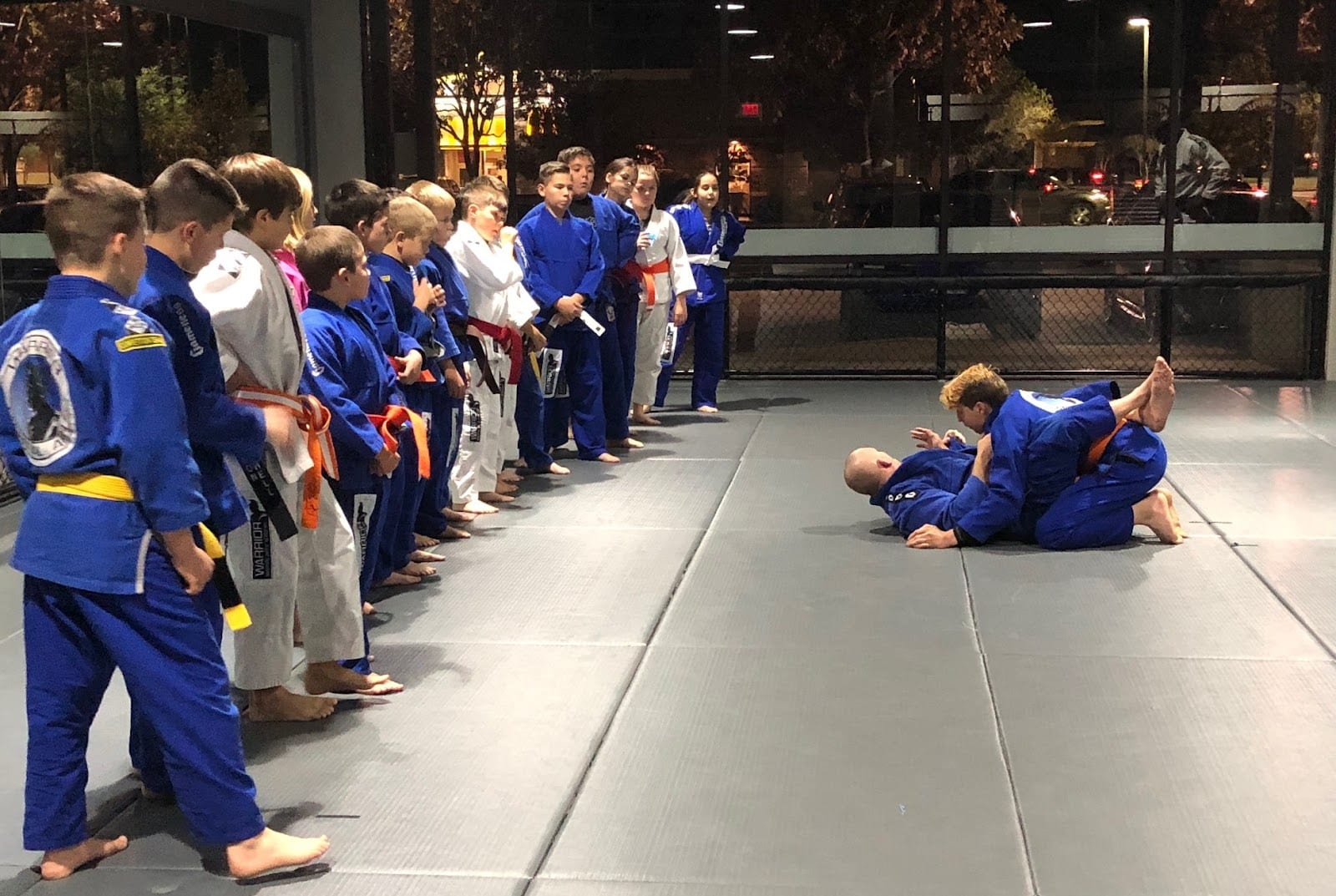 Warrior Martial Arts Academy Little Elm, photo 2
